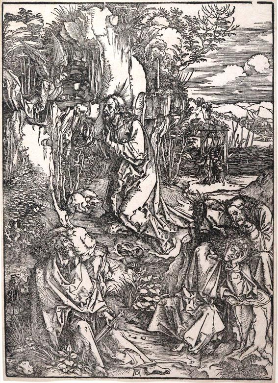 Dürer, Albrecht | Bild Nr.1