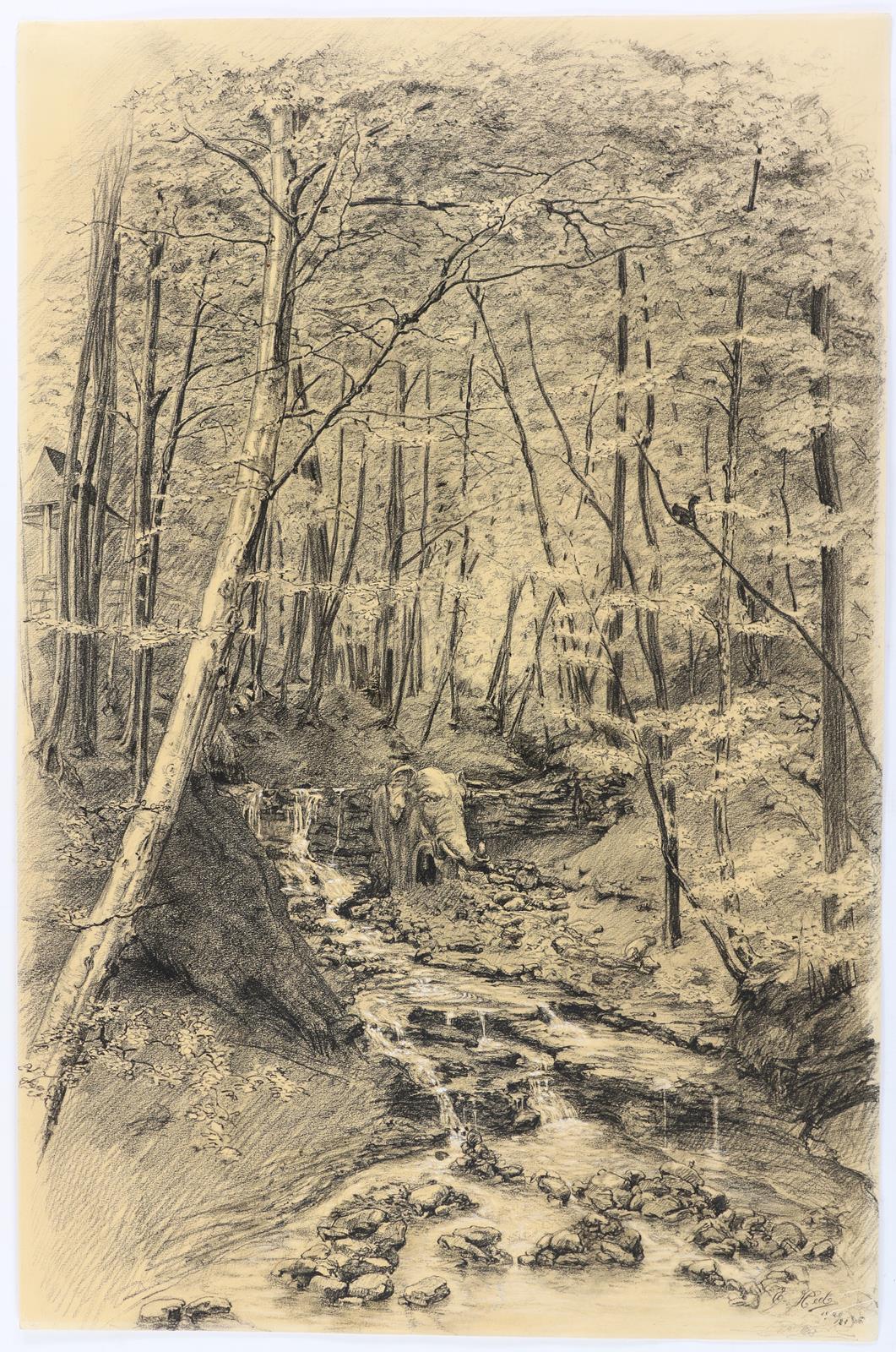 Elefant im Wald | Bild Nr.1