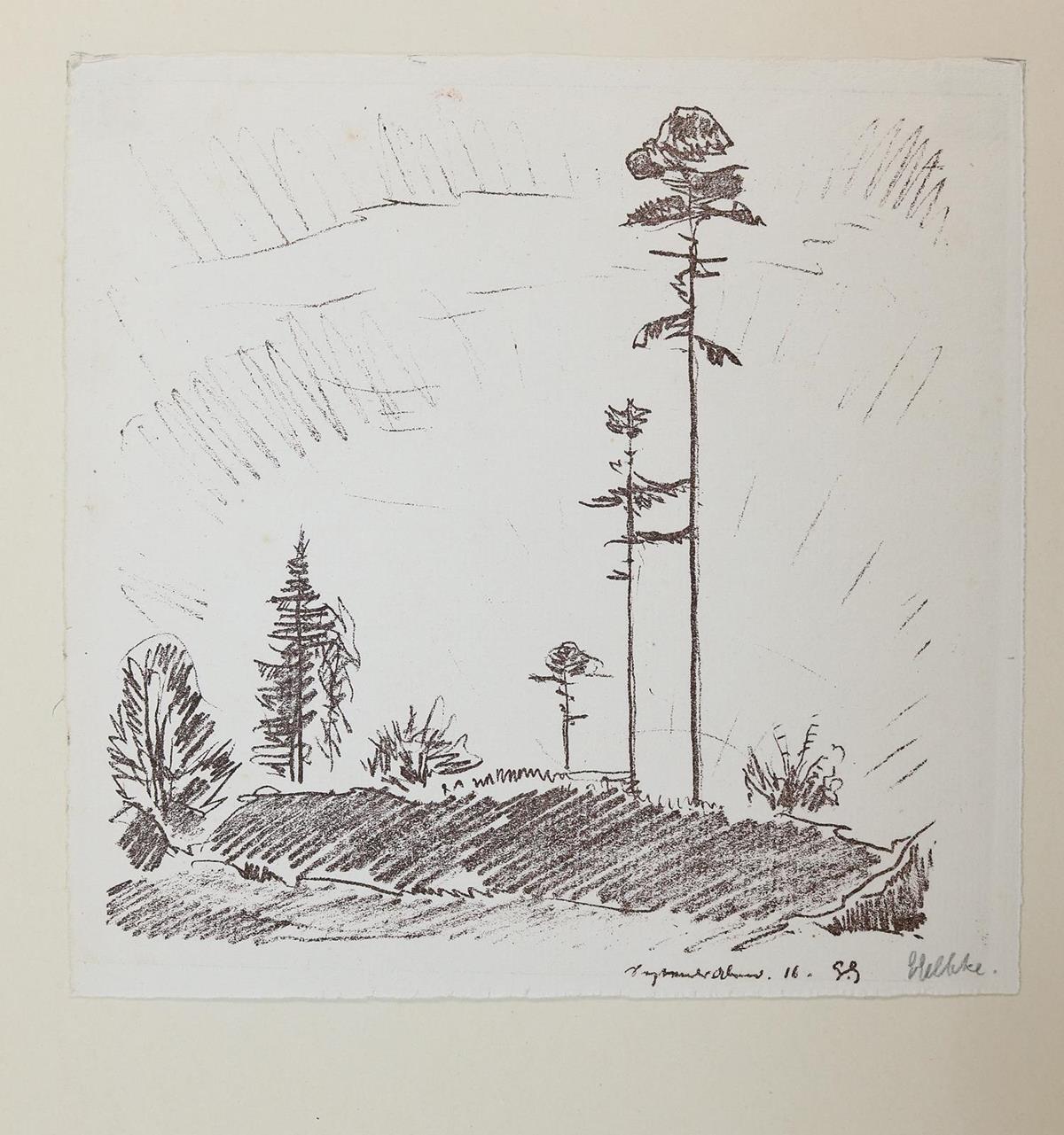 Gelbke, Georg | Bild Nr.3