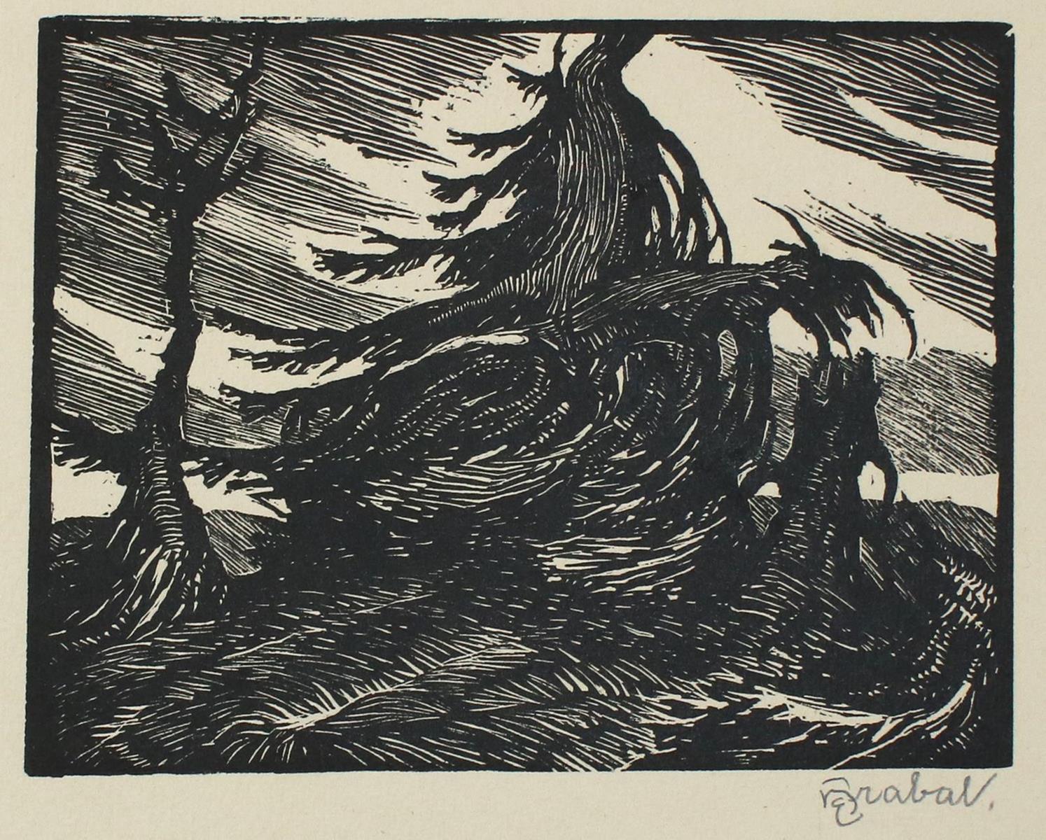 Gülilah | Bild Nr.7