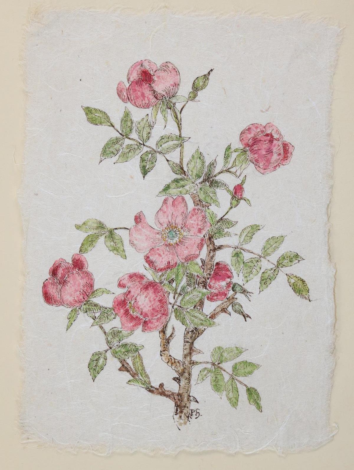 Henneberg, Paula | Bild Nr.1