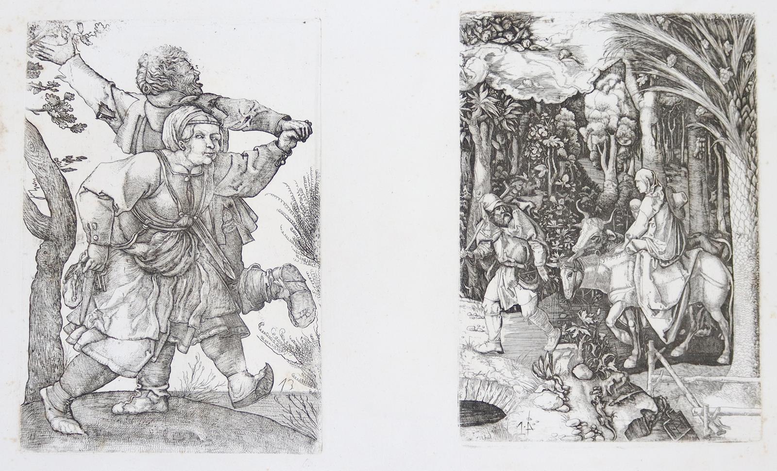 Hopfer. | Bild Nr.15