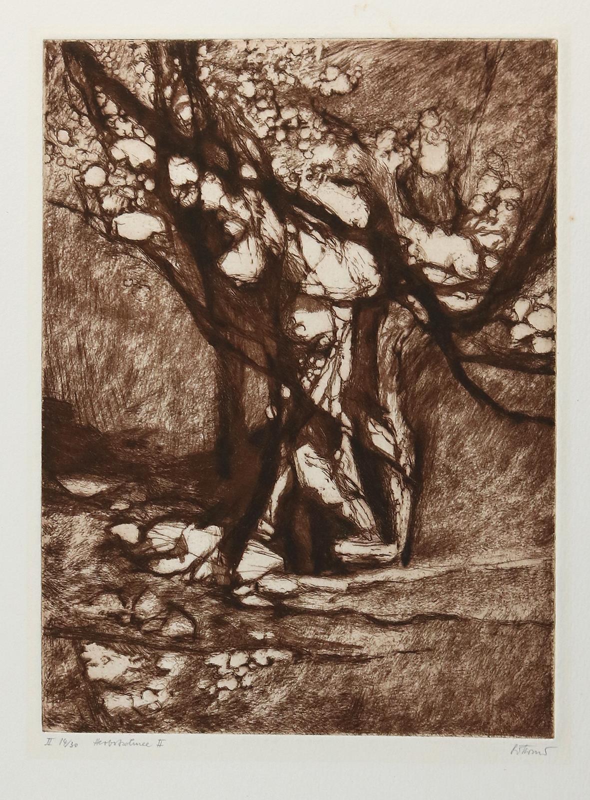 Körner, Gottfried | Bild Nr.2