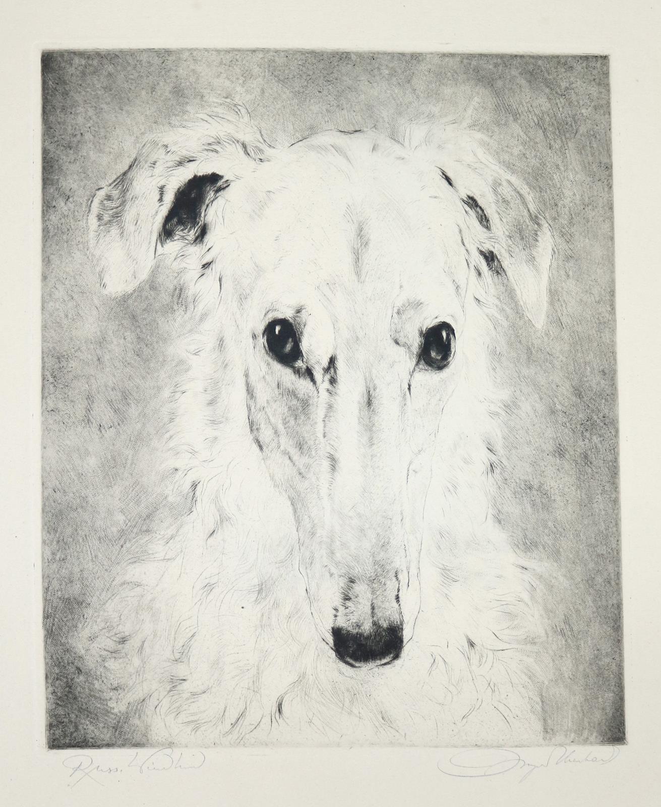 Konvolut. | Bild Nr.2