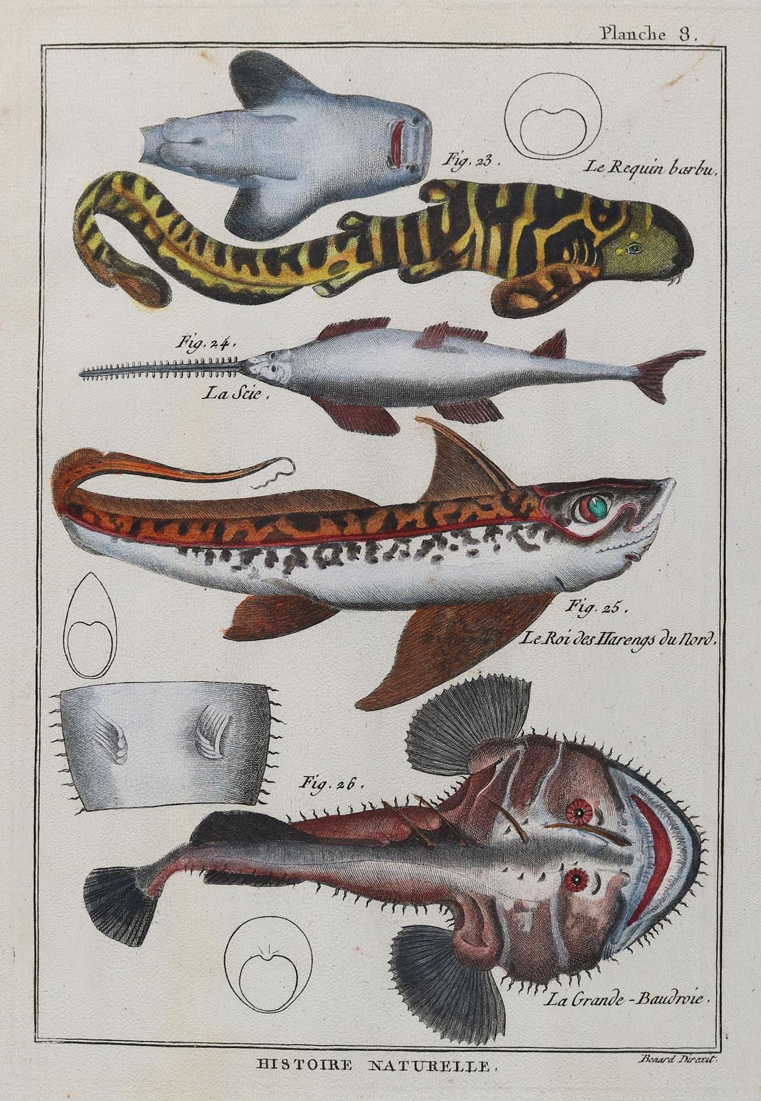 Konvolut. | Bild Nr.2