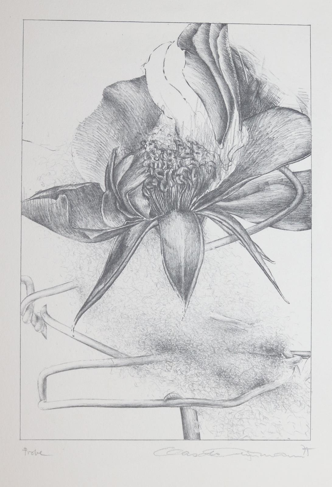 Konvolut | Bild Nr.9