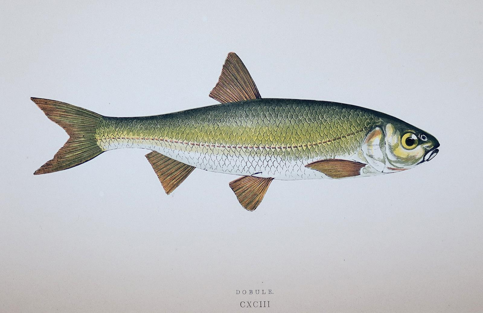 Konvolut | Bild Nr.2