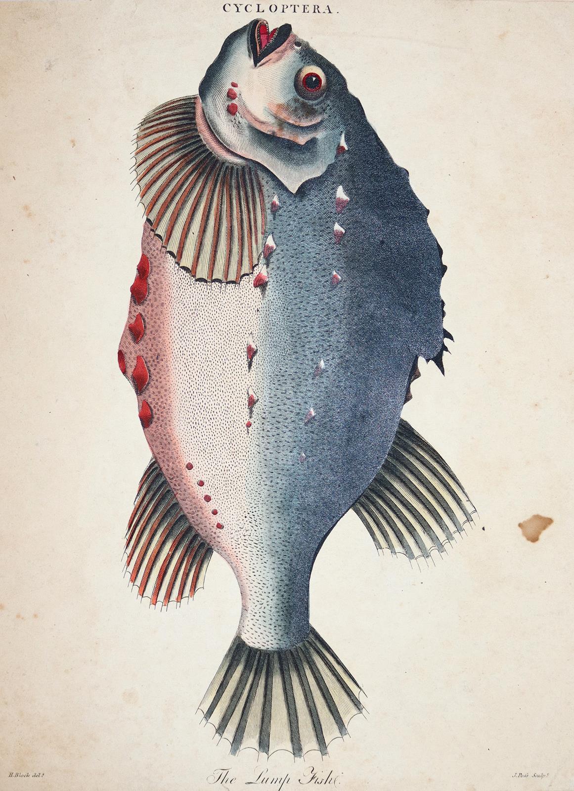 Konvolut | Bild Nr.4