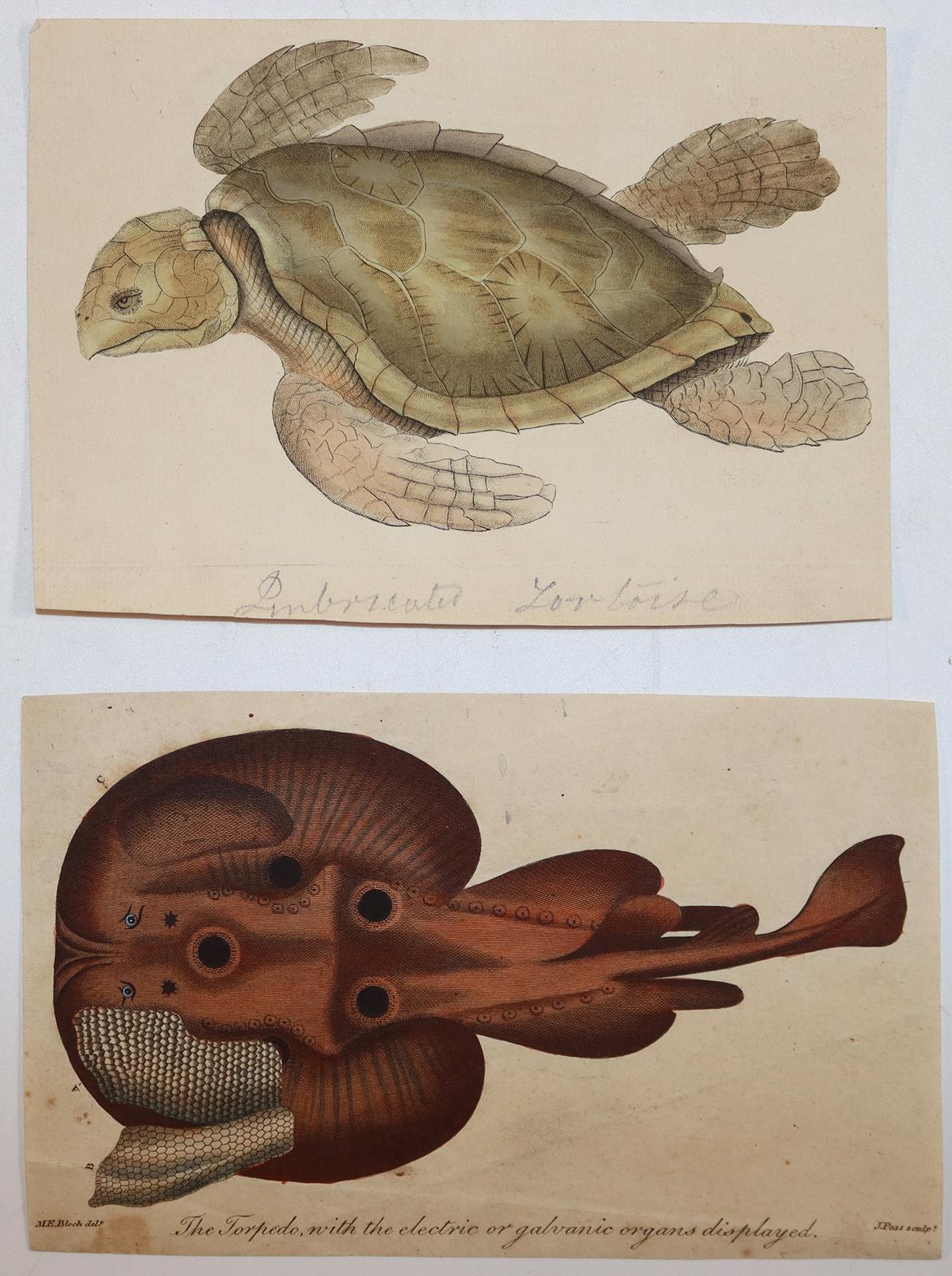 Konvolut | Bild Nr.5