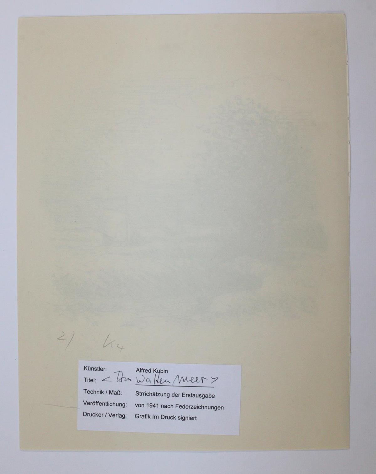 Kubin, Alfred | Bild Nr.4