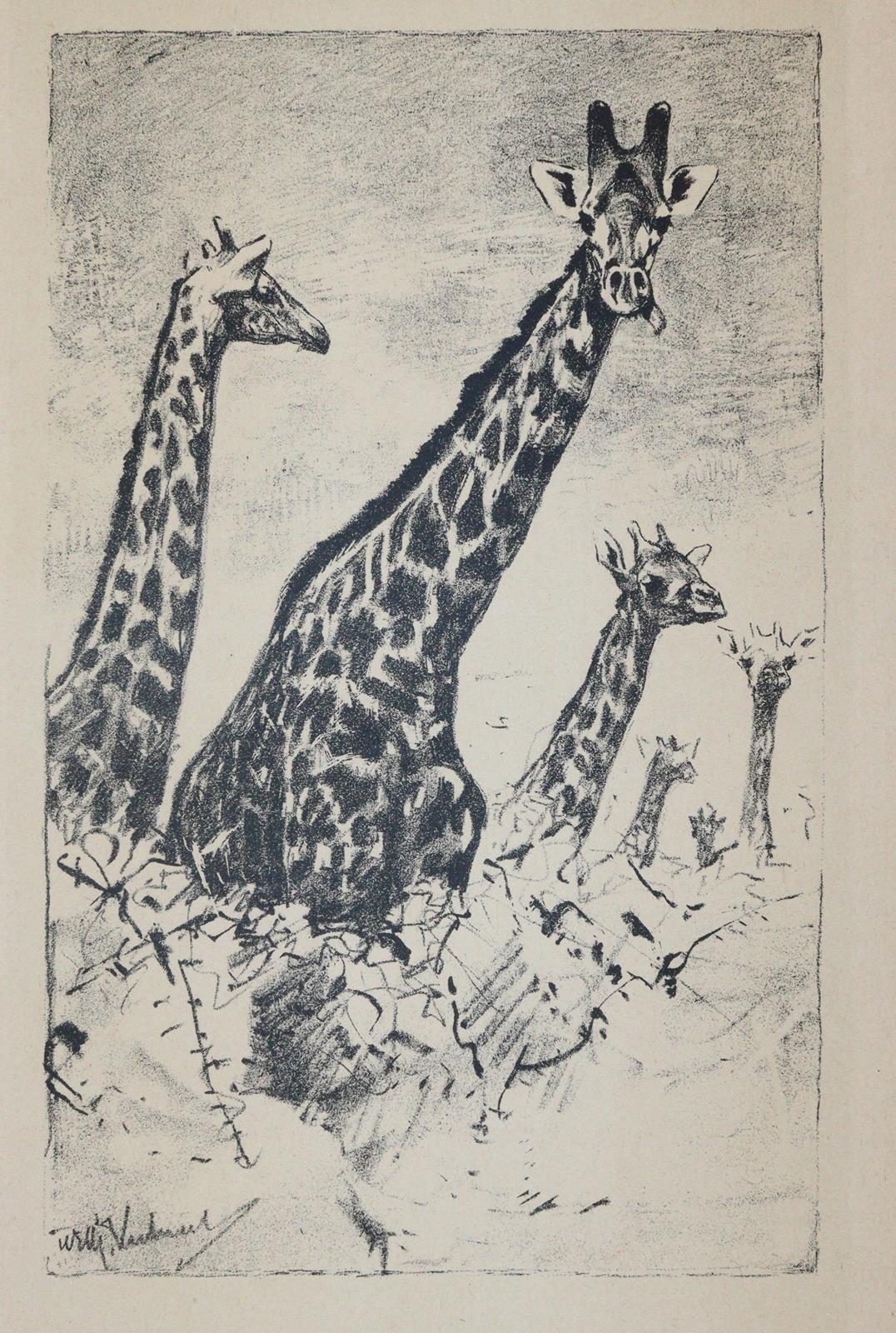 Kuhnert, Friedich | Bild Nr.1