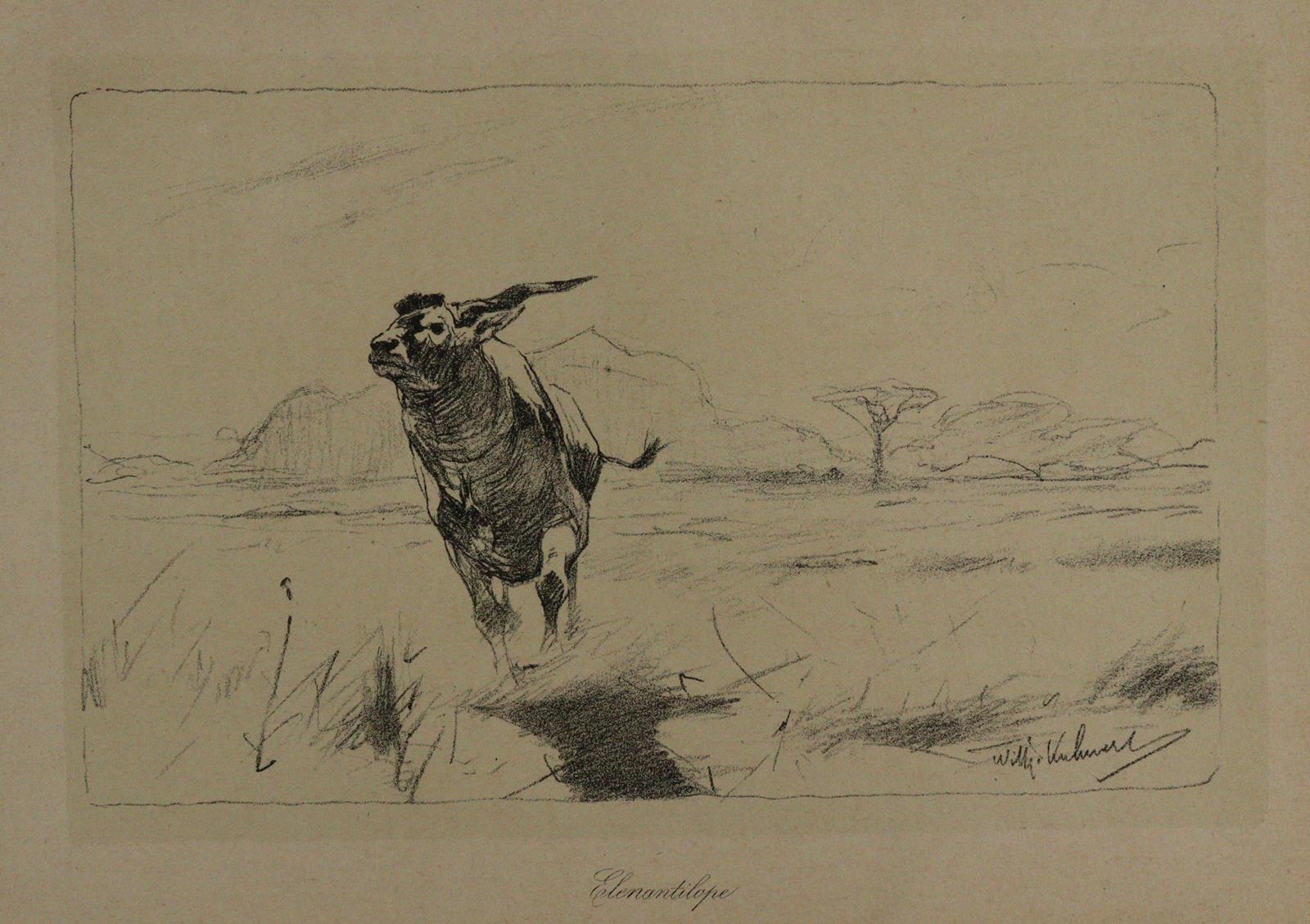 Kuhnert, Friedich | Bild Nr.3