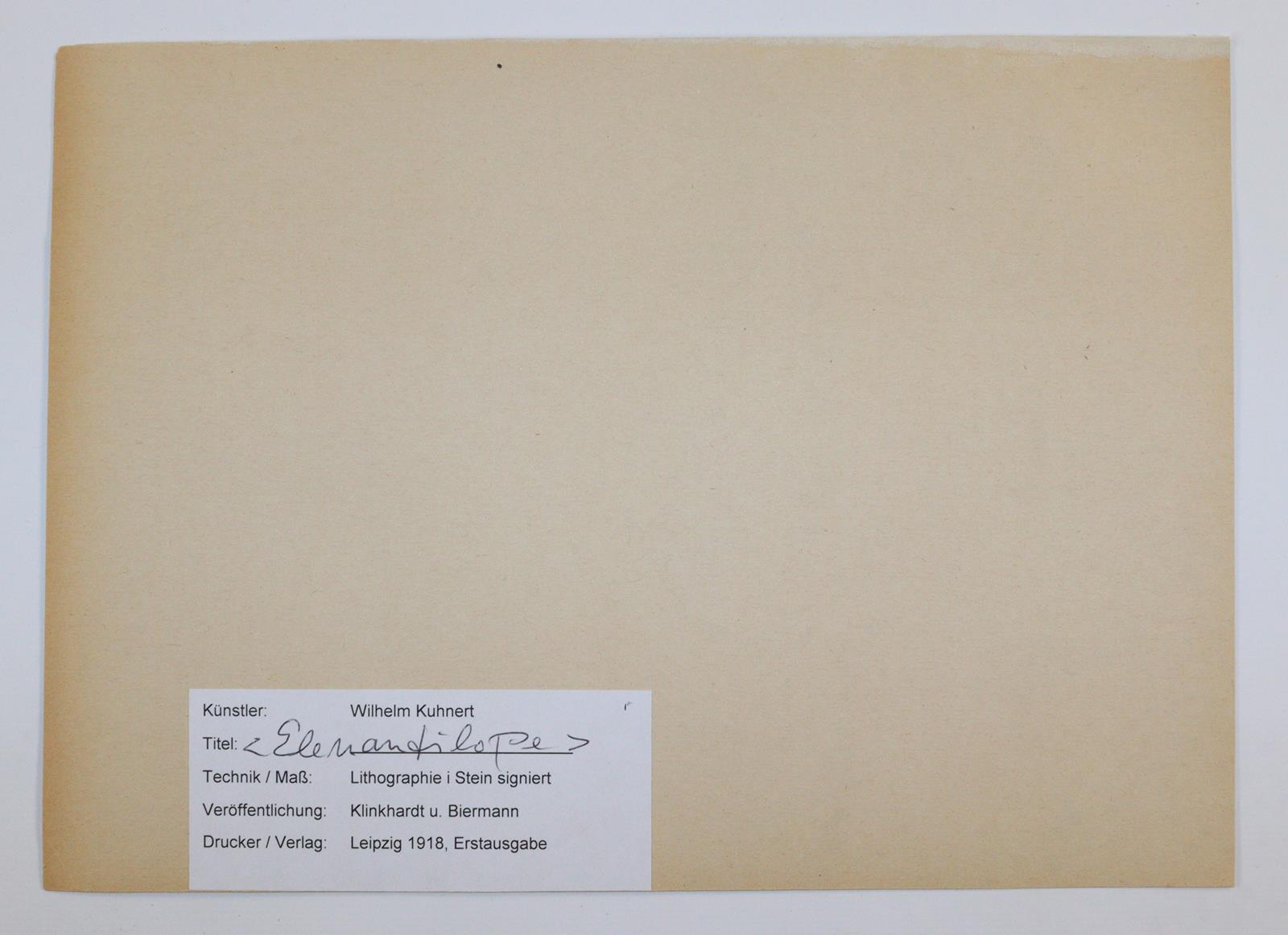Kuhnert, Friedich | Bild Nr.4