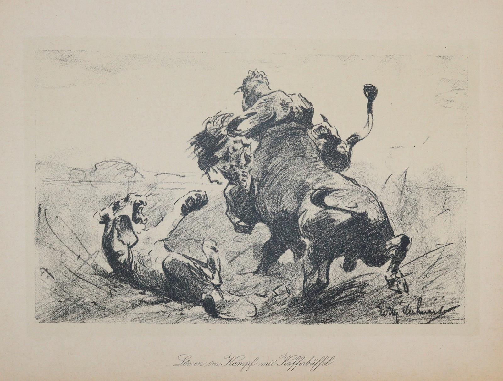 Kuhnert, Friedich | Bild Nr.7