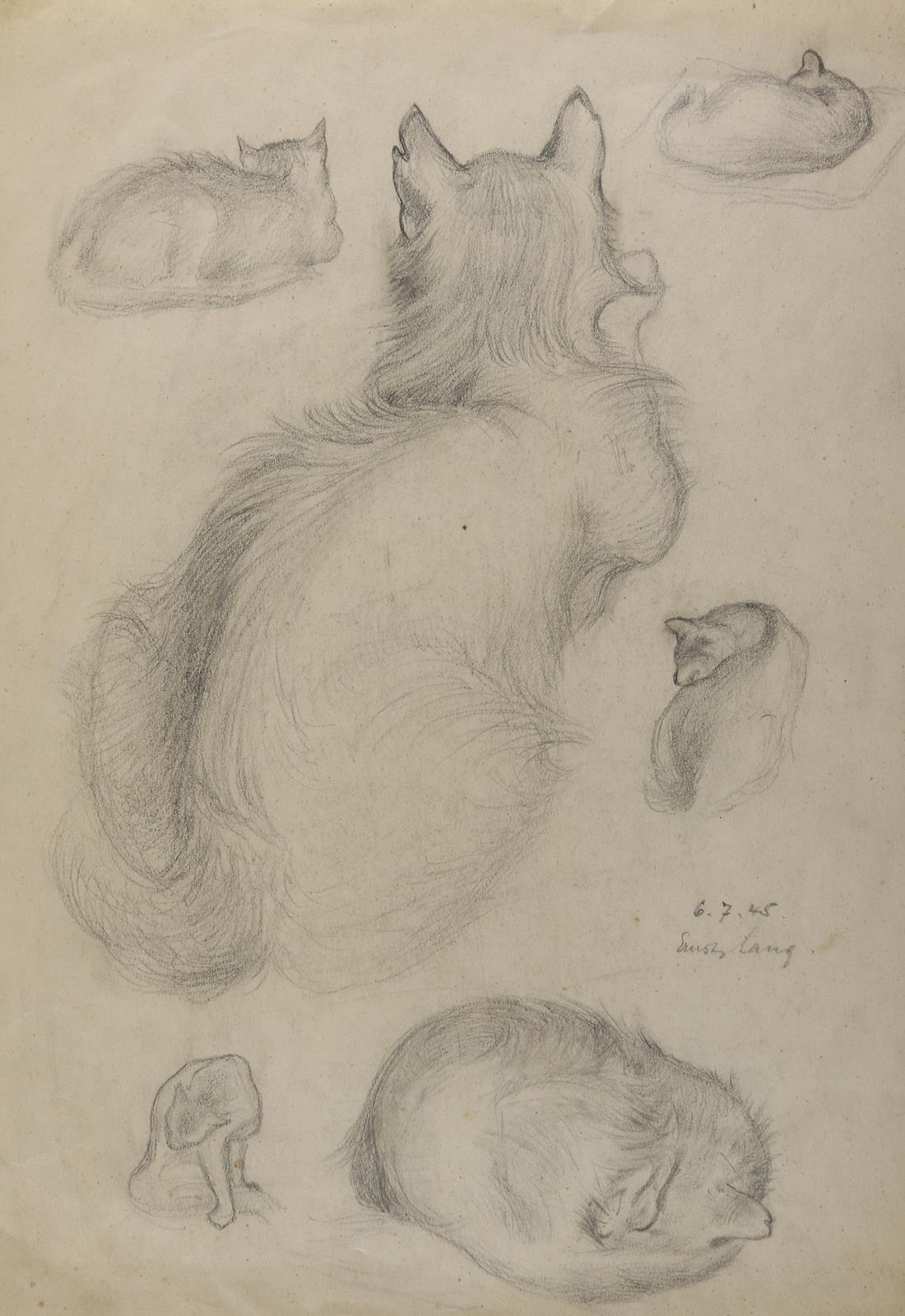Lang Ernst. | Bild Nr.6
