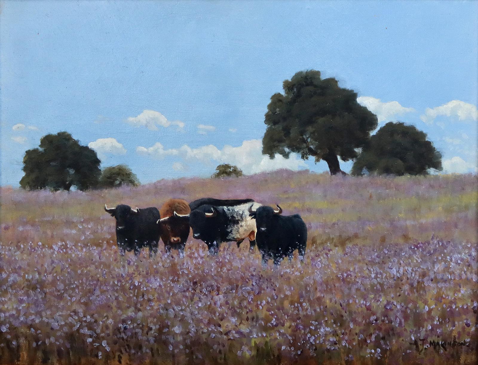 Maller, Fritz. | Bild Nr.1