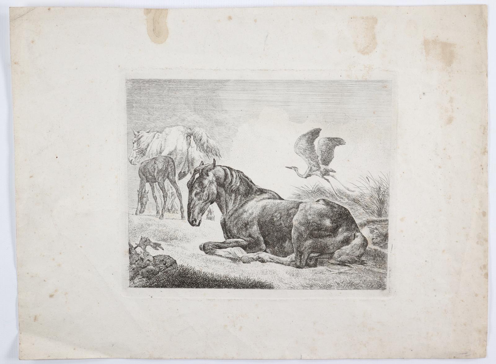 Menken, Johann Heinrich | Bild Nr.4