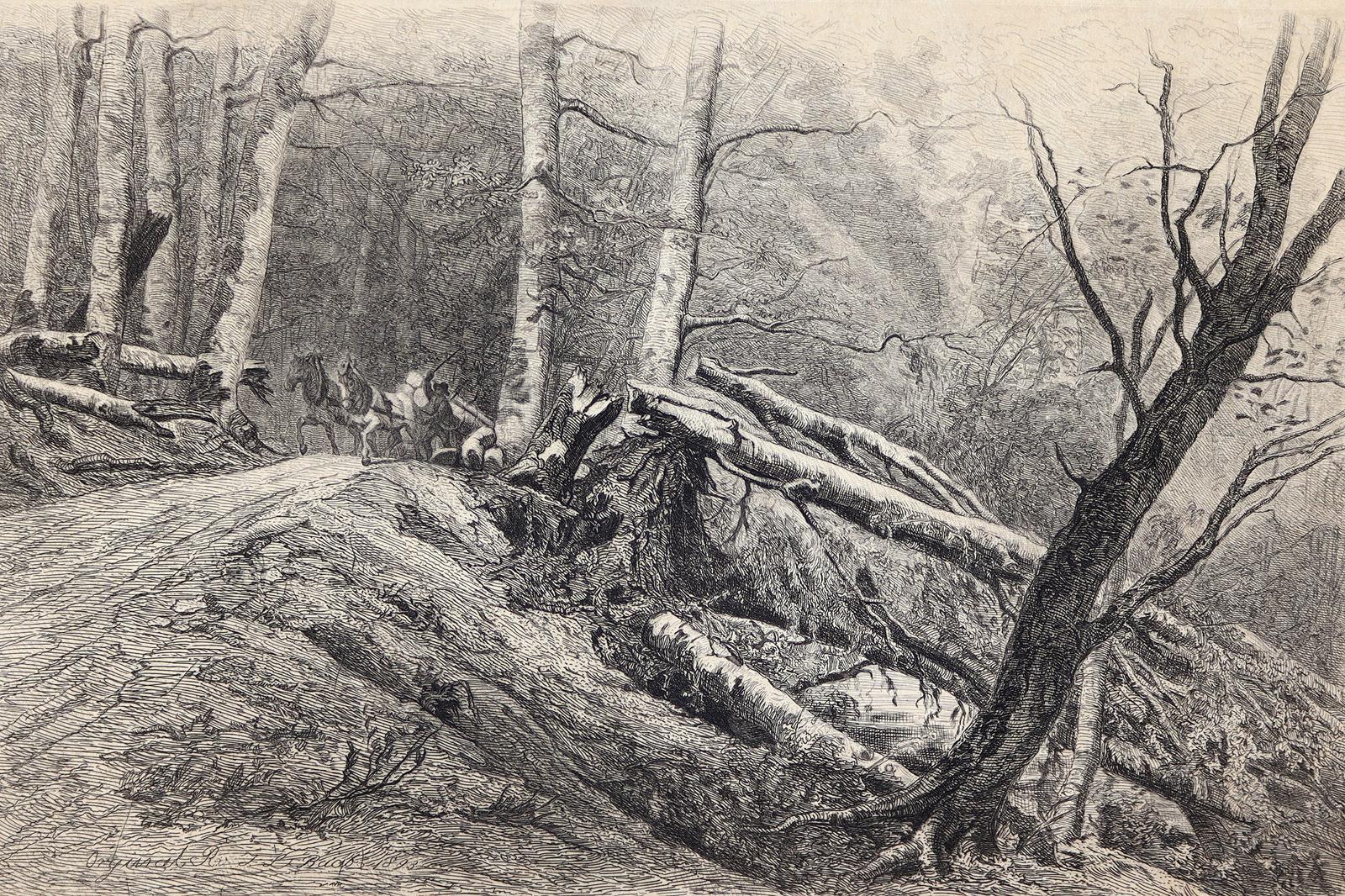 Pietschmann, Max | Bild Nr.2