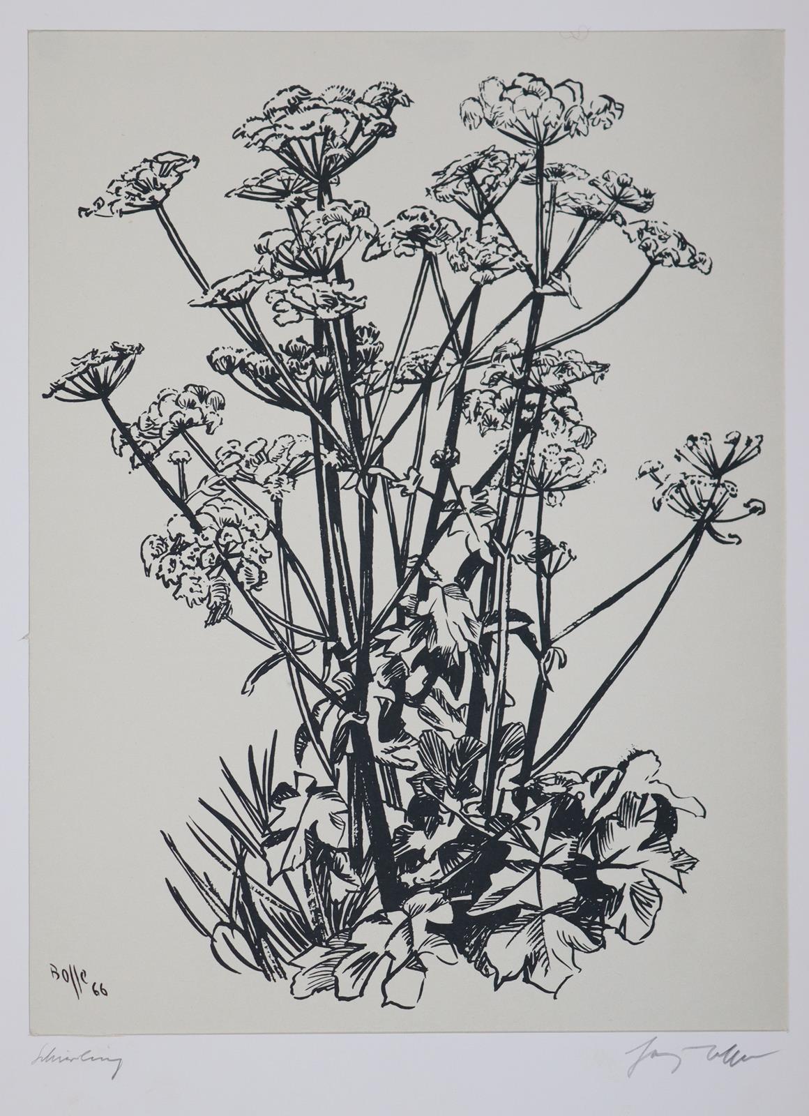 Reiser, Cobi | Bild Nr.6