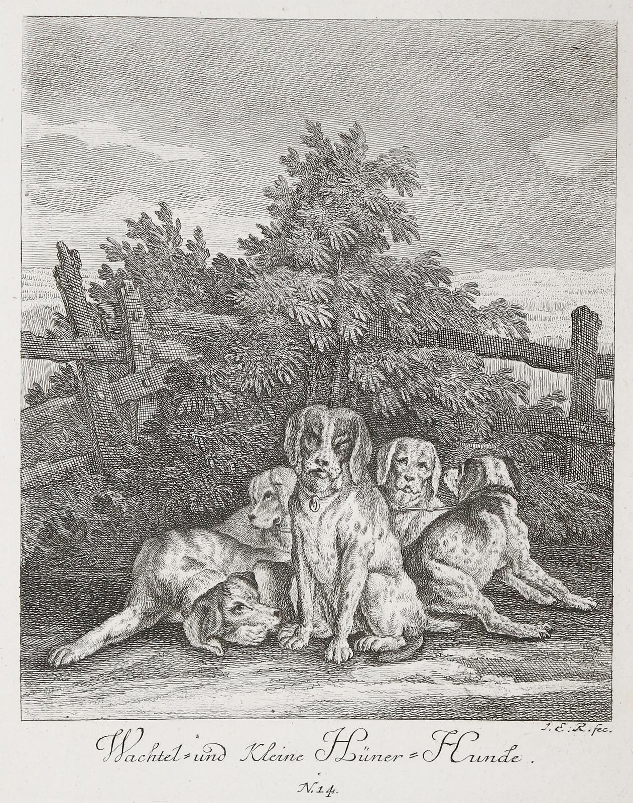 Ridinger, Johann Elias | Bild Nr.1