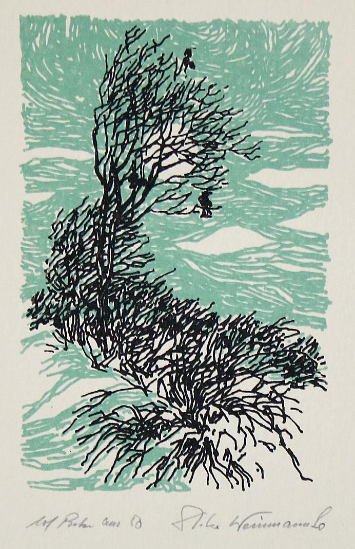 Rückgänge | Bild Nr.11