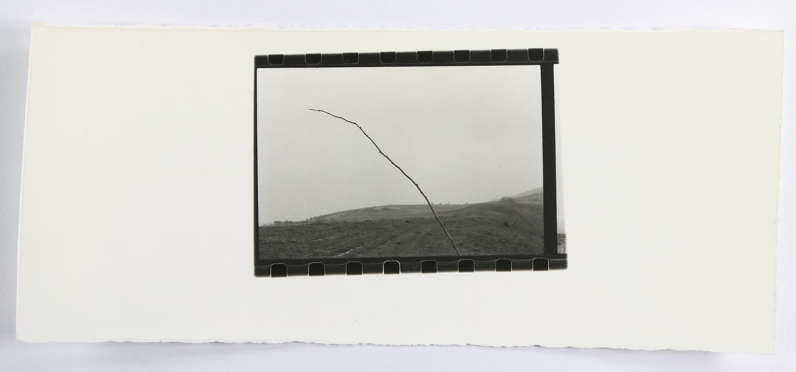 Scheffer, Michael | Bild Nr.1