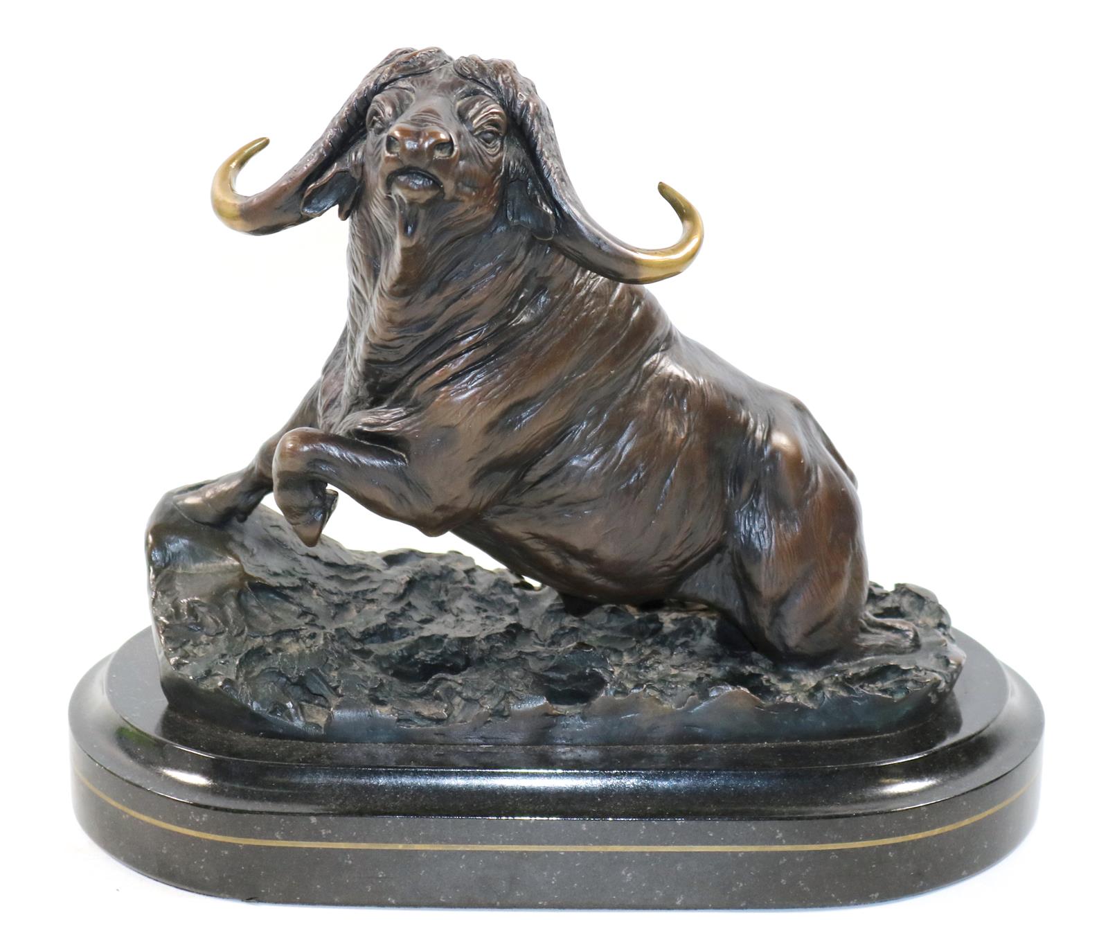 Schaefer, David. | Bild Nr.1