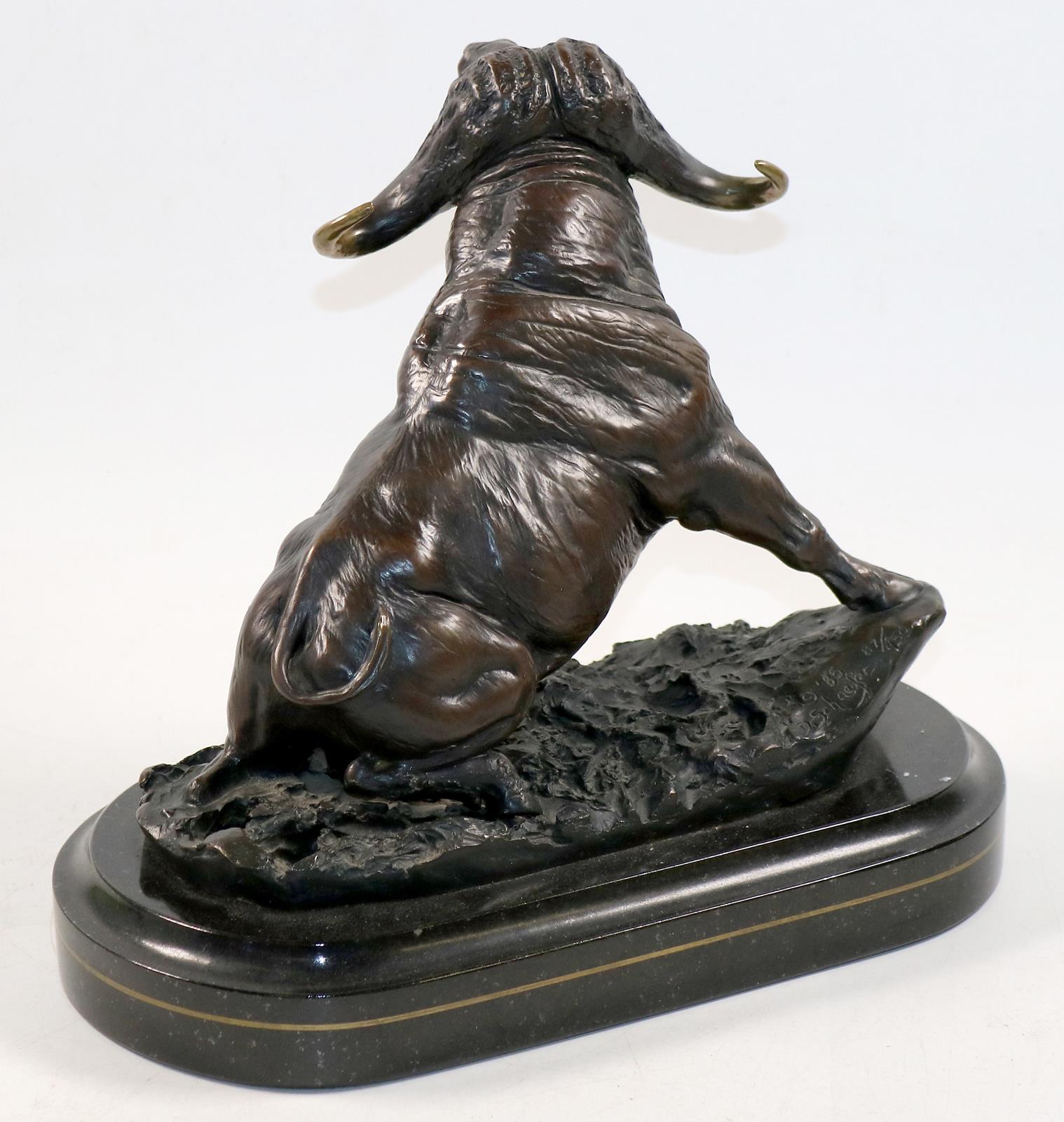 Schaefer, David. | Bild Nr.2