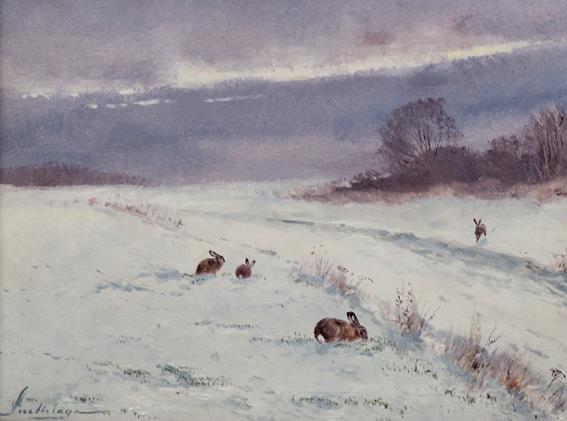 Snethlage, Karl Helmuth | Bild Nr.1