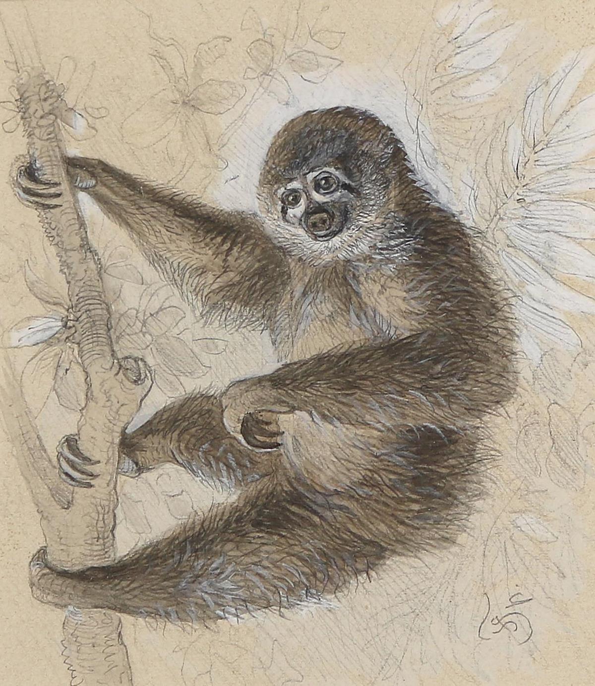 Specht, Friedrich | Bild Nr.3