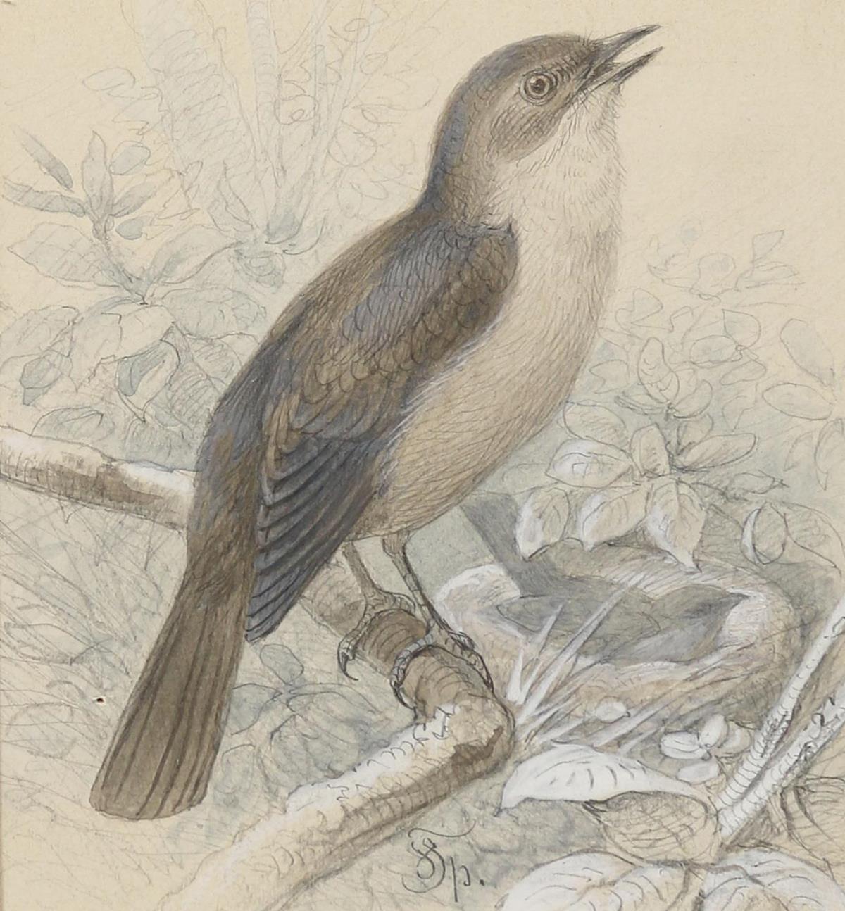 Specht, Friedrich | Bild Nr.4