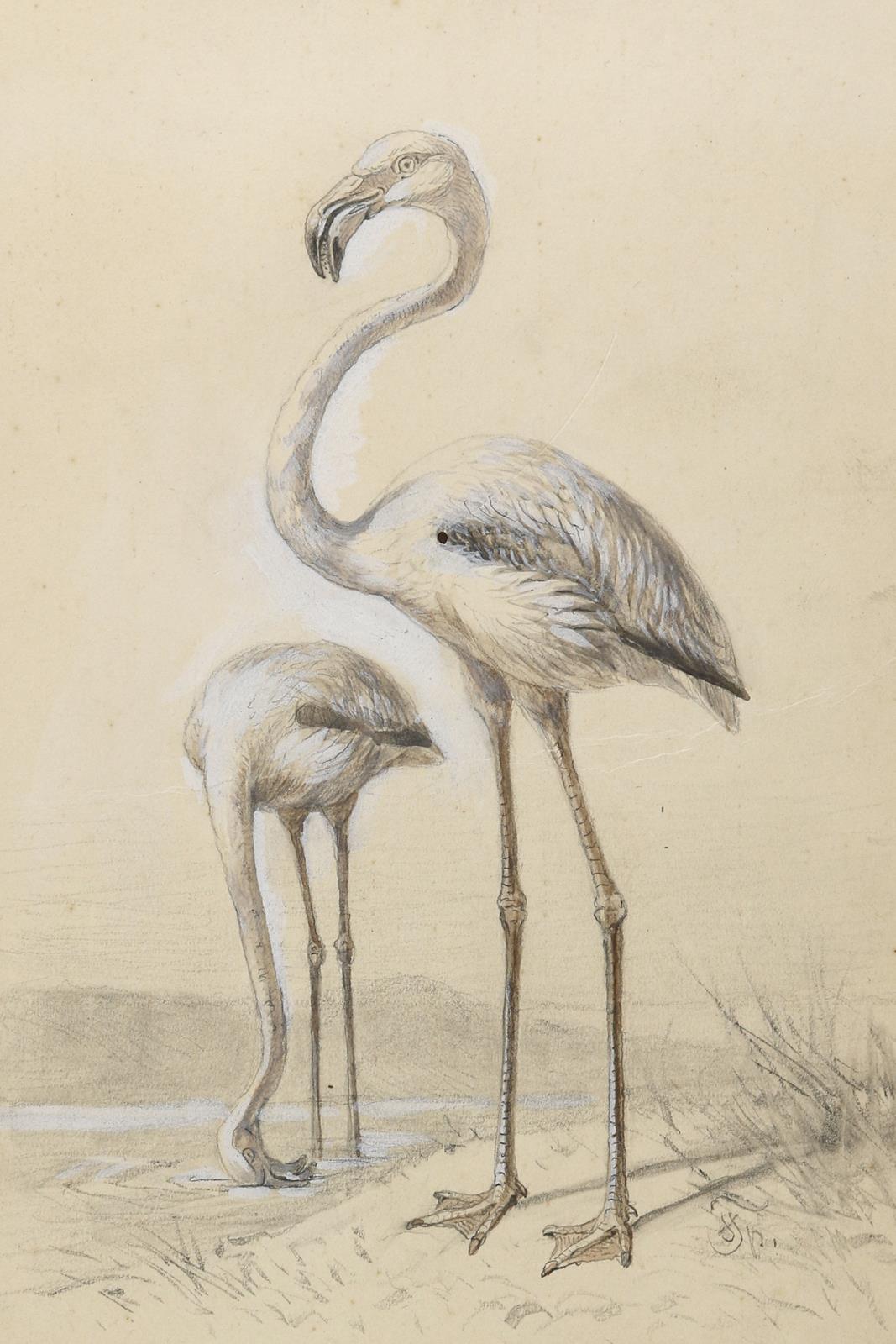 Specht, Friedrich | Bild Nr.5