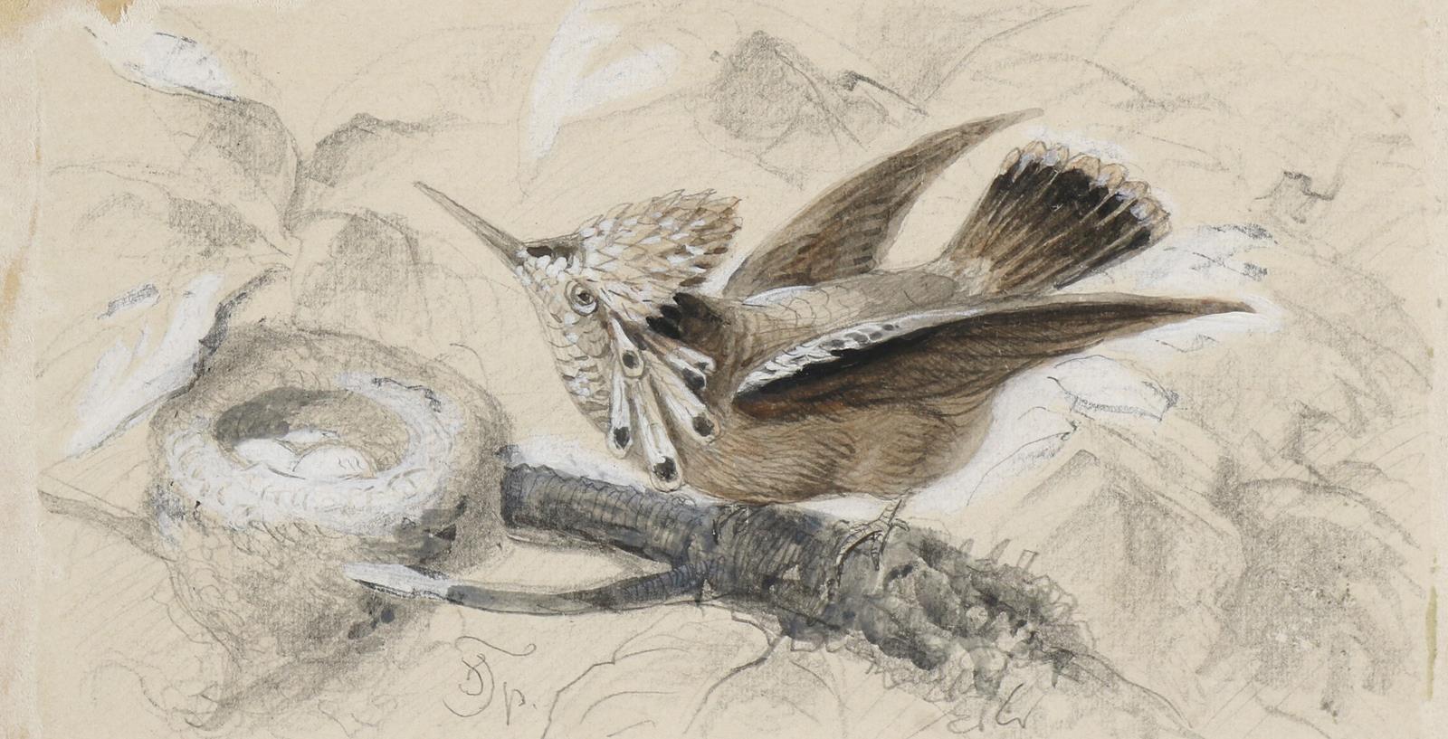 Specht, Friedrich | Bild Nr.6