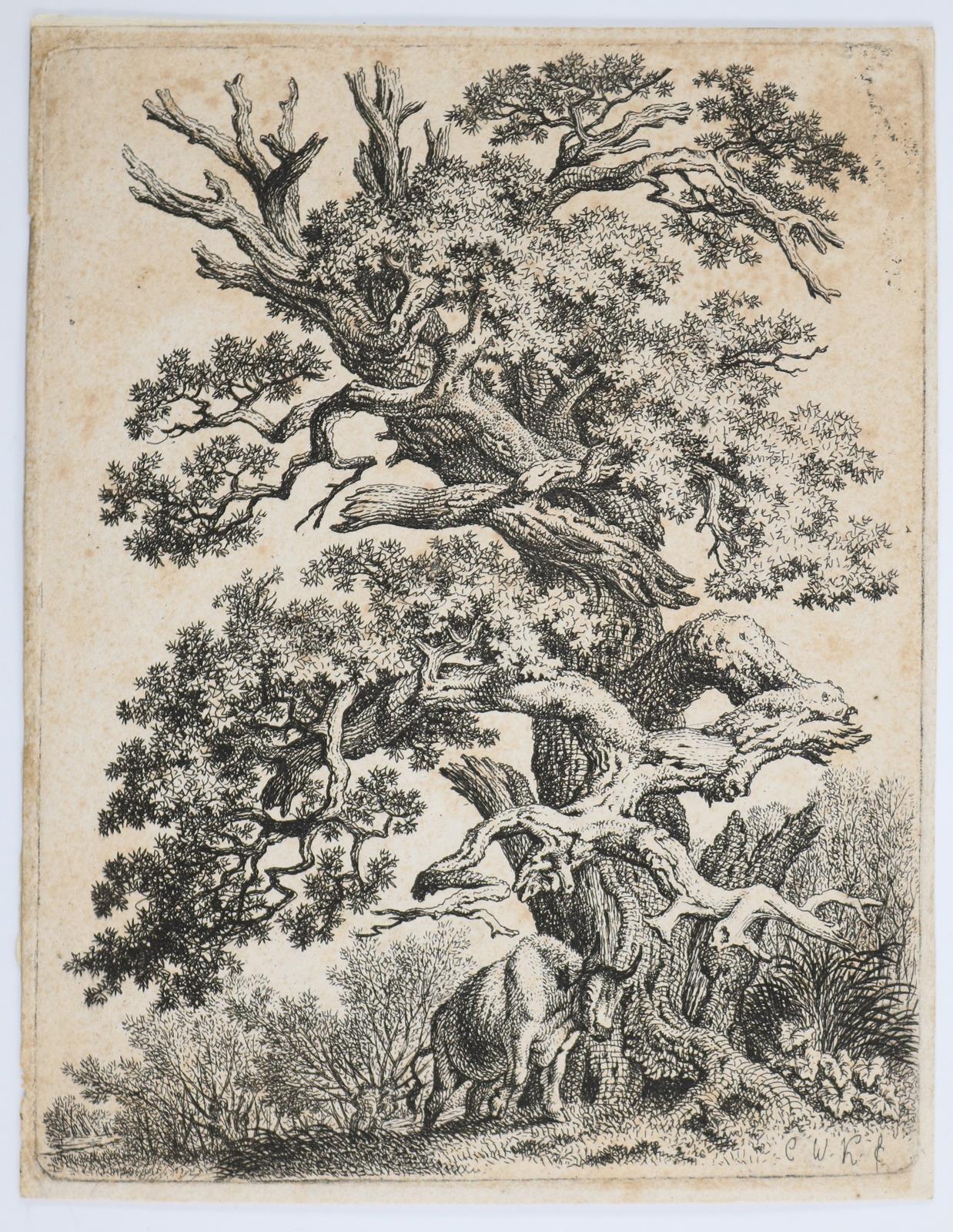 Tiere und Landschaften. | Bild Nr.5