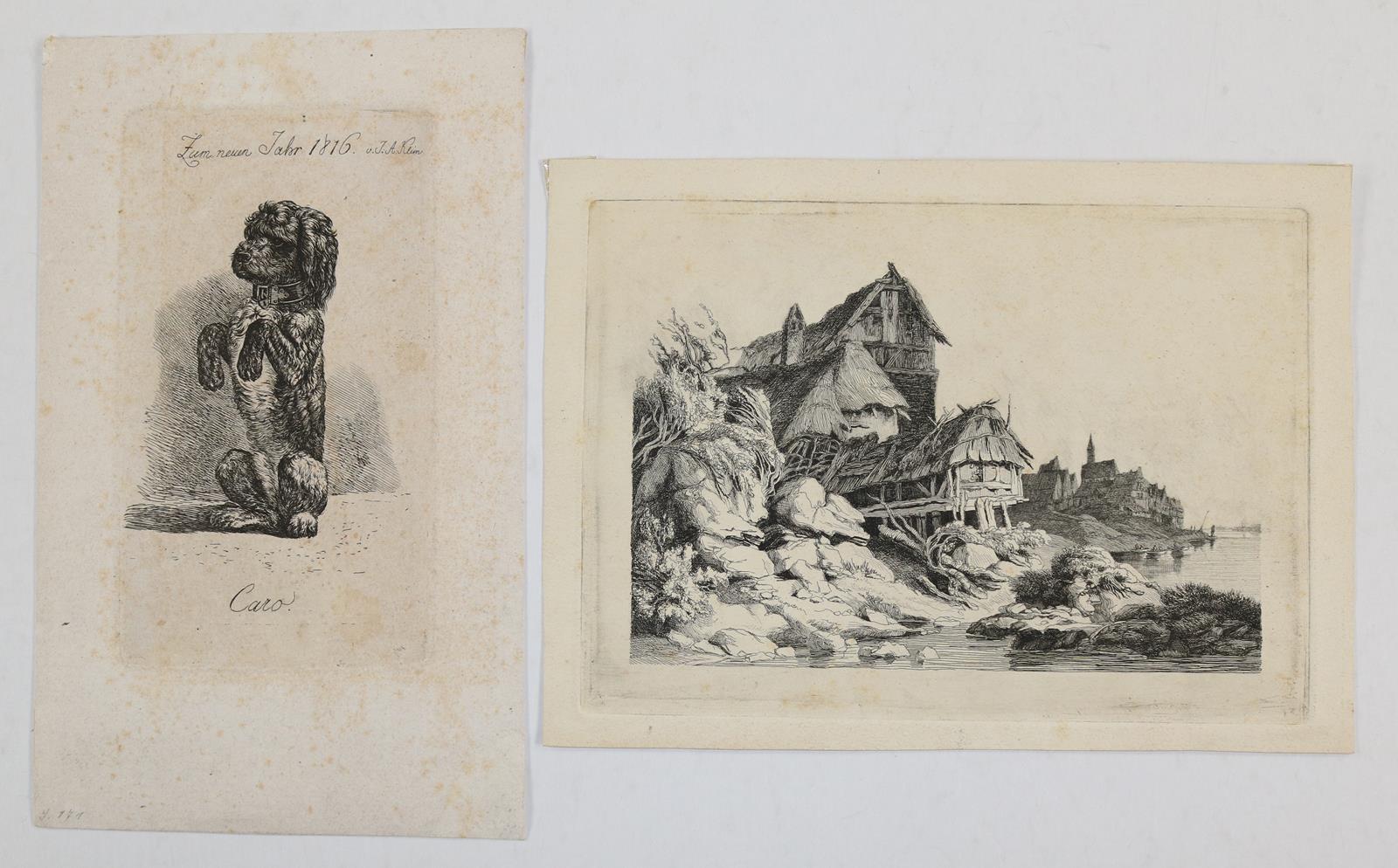 Tiere und Landschaften. | Bild Nr.12