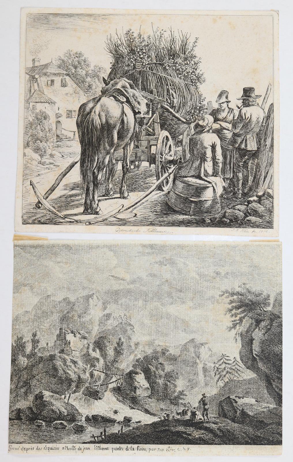 Tiere und Landschaften. | Bild Nr.13