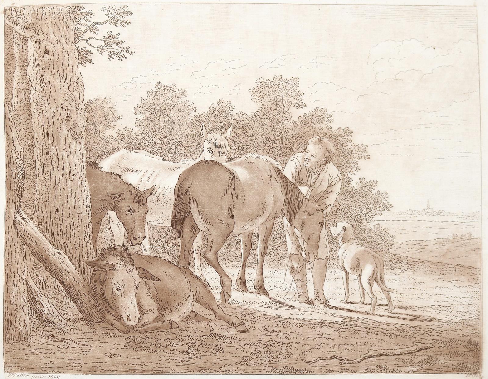 Tischbein, Johann Heinrich | Bild Nr.4