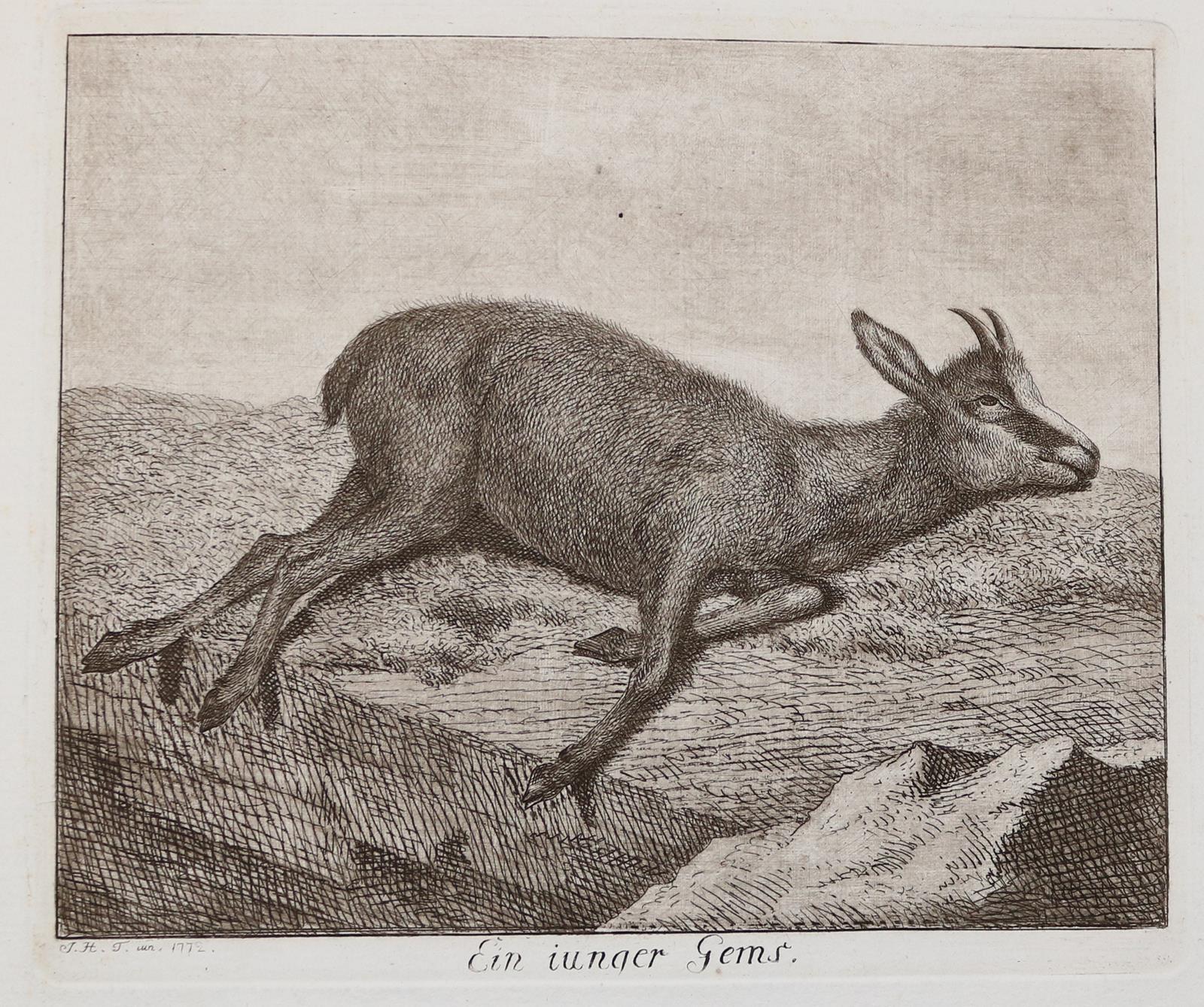 Tischbein, Johann Heinrich | Bild Nr.12