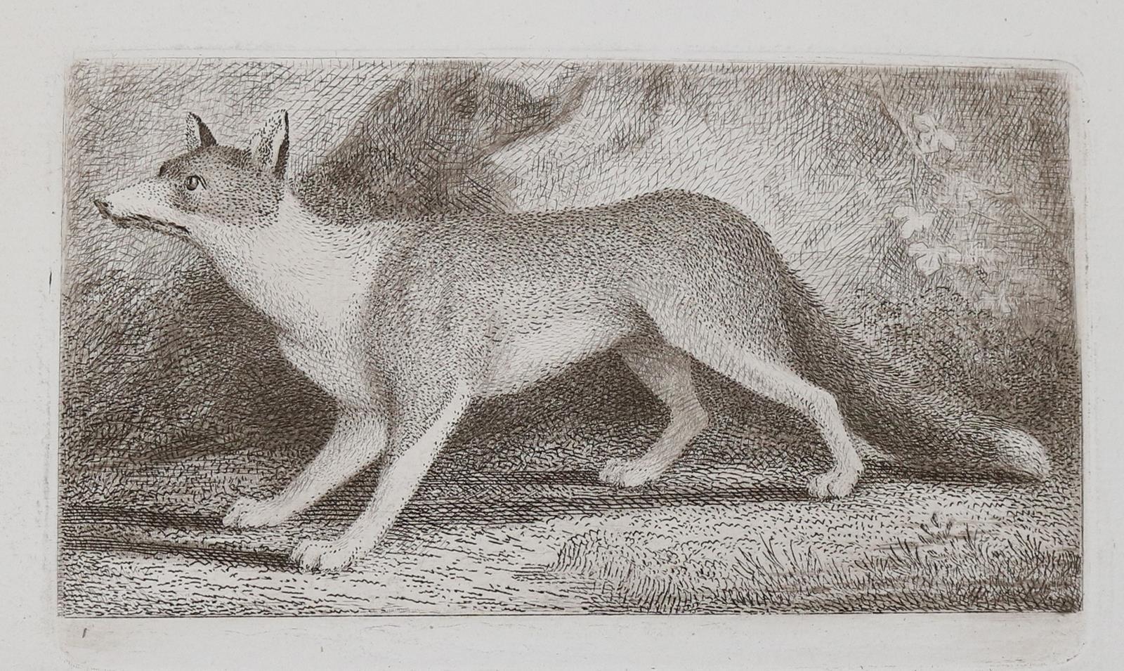 Tischbein, Johann Heinrich | Bild Nr.16