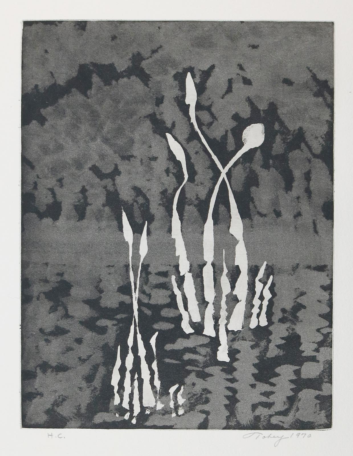 Tobey, Mark | Bild Nr.1