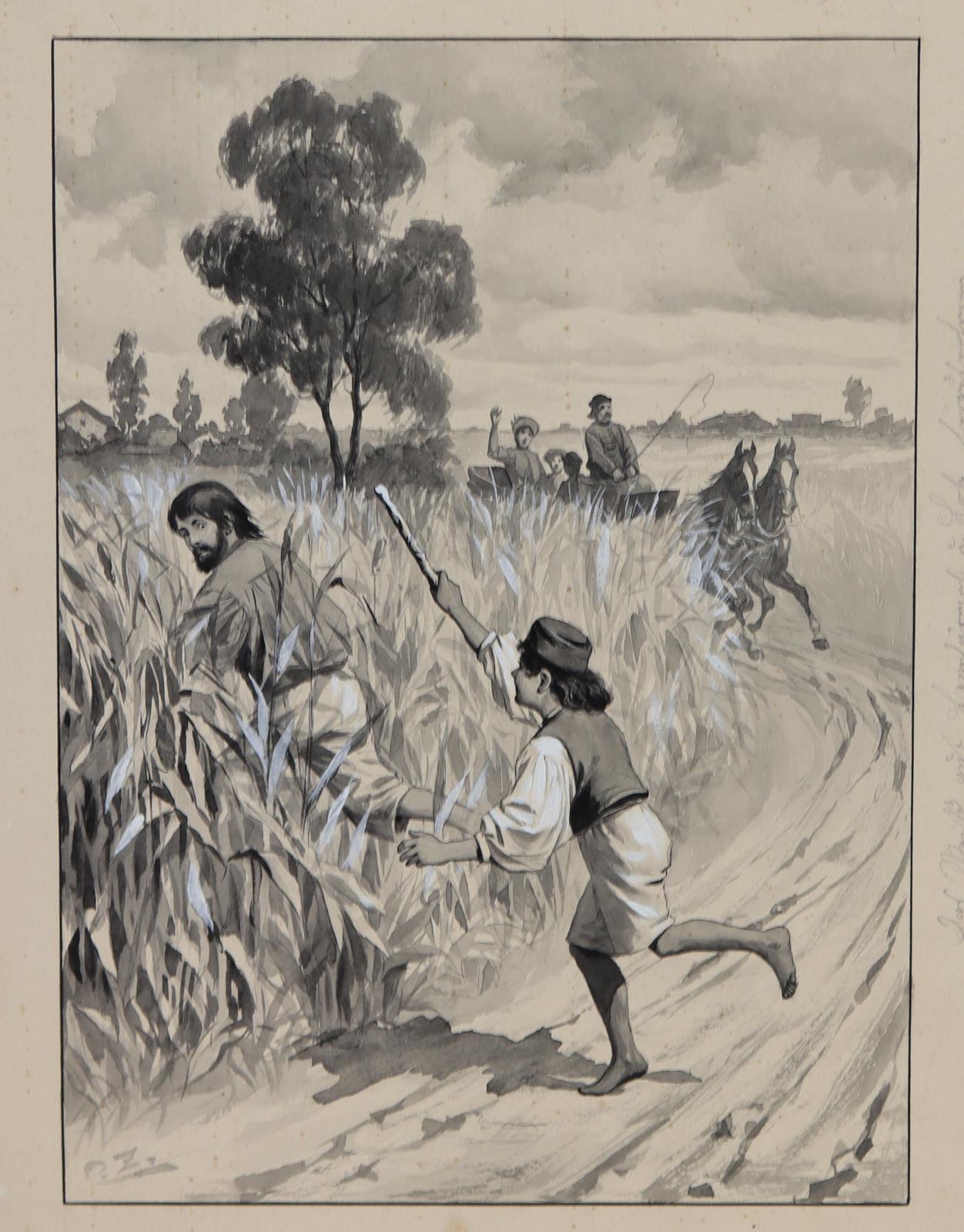 Zopf, Carl | Bild Nr.2