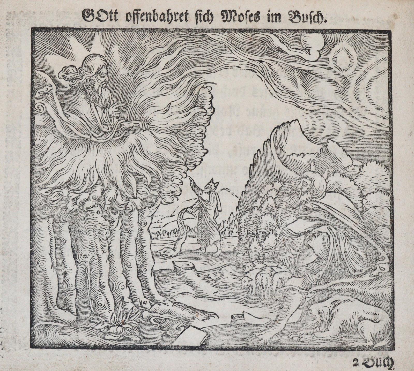 Zeidler,J.G. | Bild Nr.4