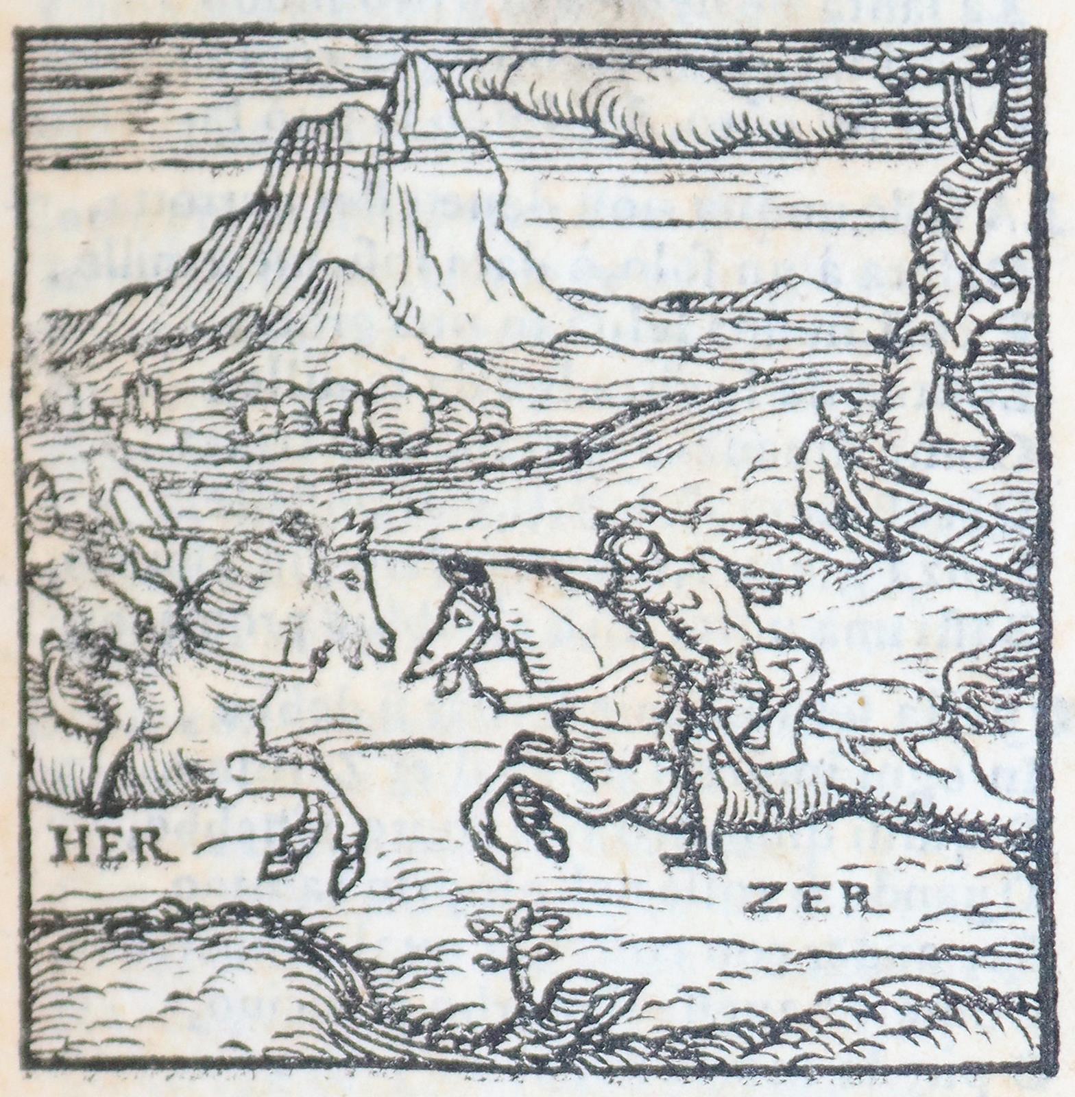 Ariosto,L. | Bild Nr.5