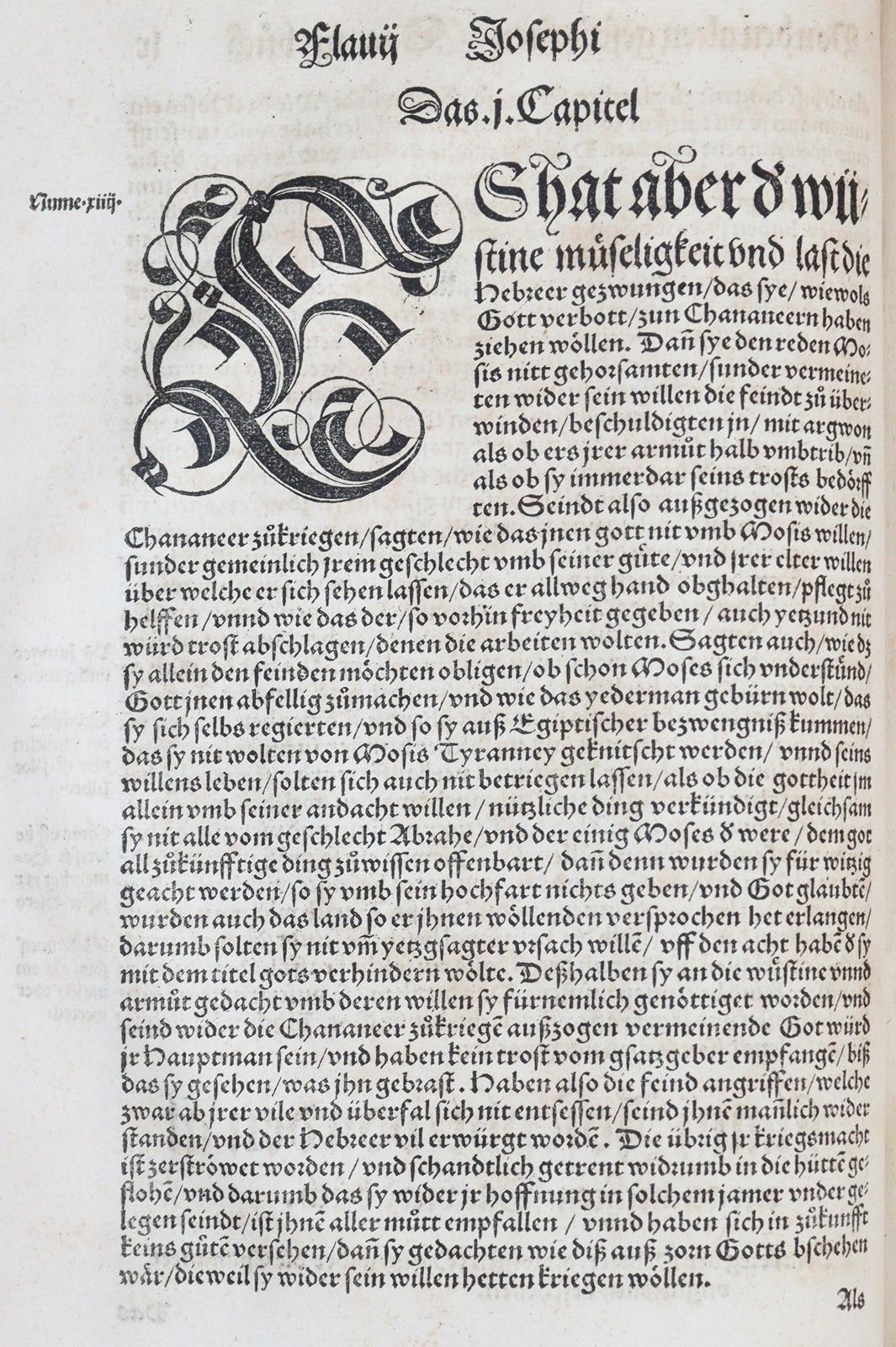 Flavius,J. | Bild Nr.2