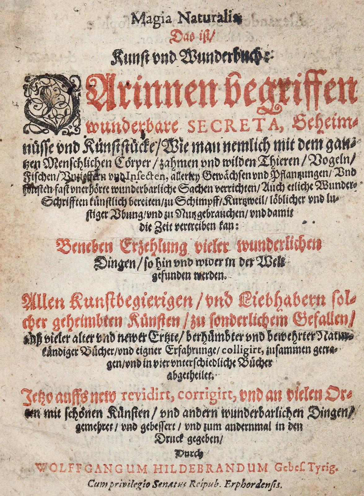 Hildebrand,W. | Bild Nr.1