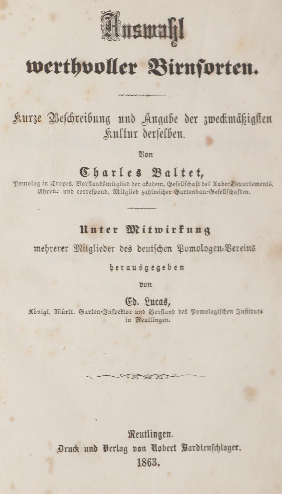 Baltet,C. | Bild Nr.3