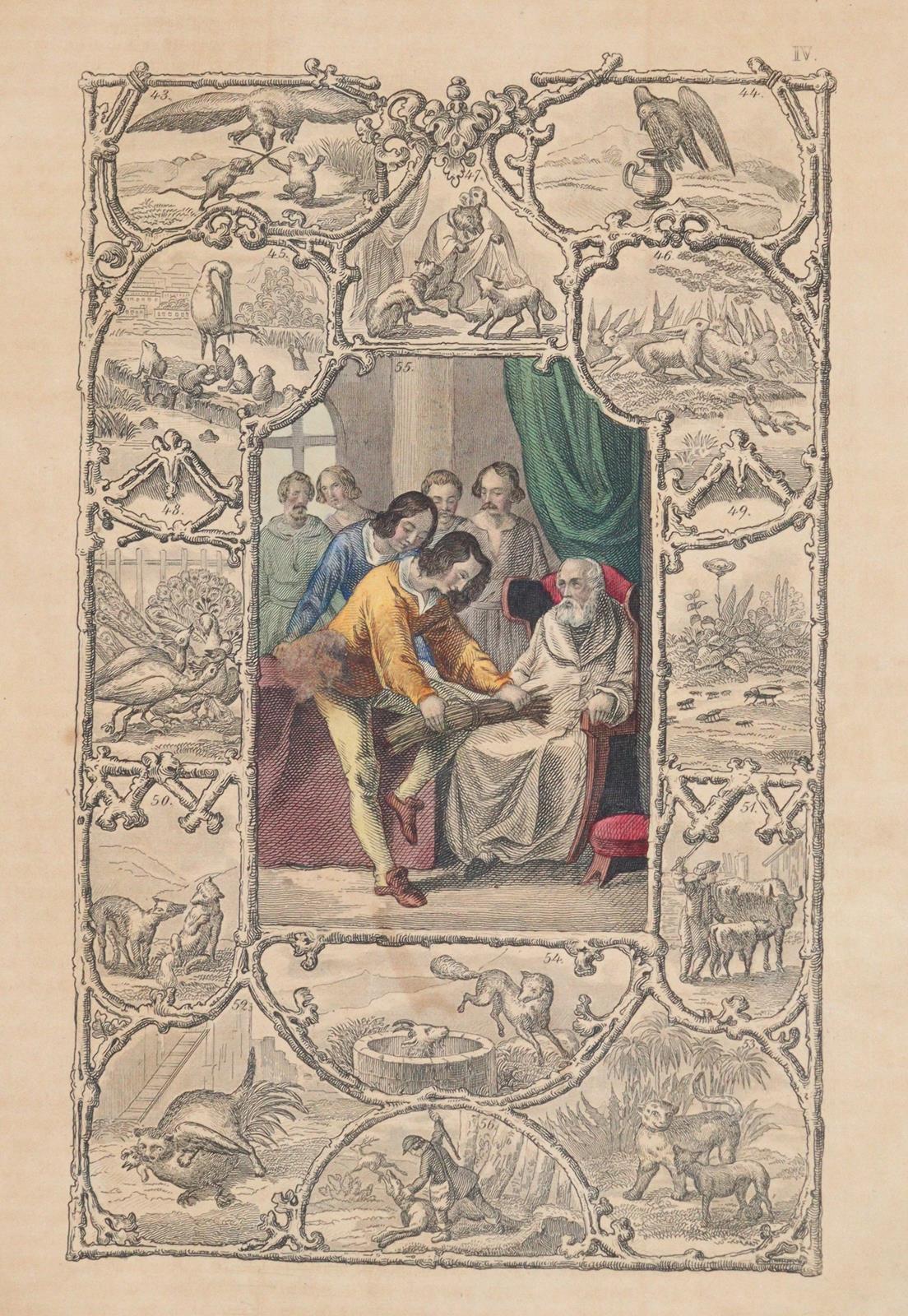 Aesop. | Bild Nr.4