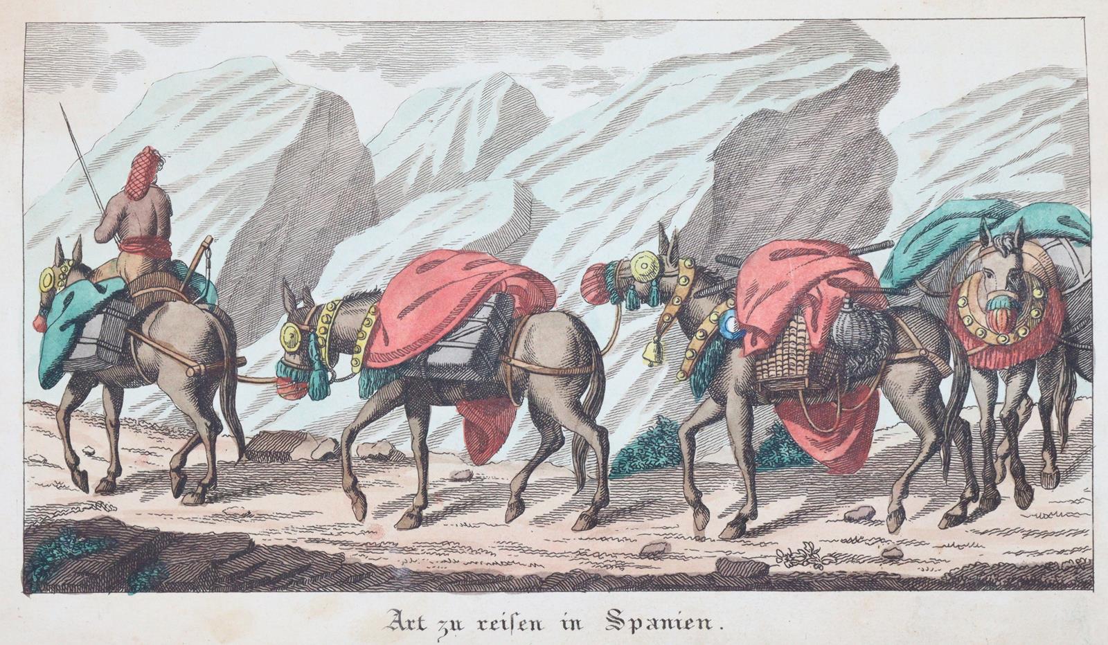 Selchow,F. (d.i. J.H.Meynier). | Bild Nr.2