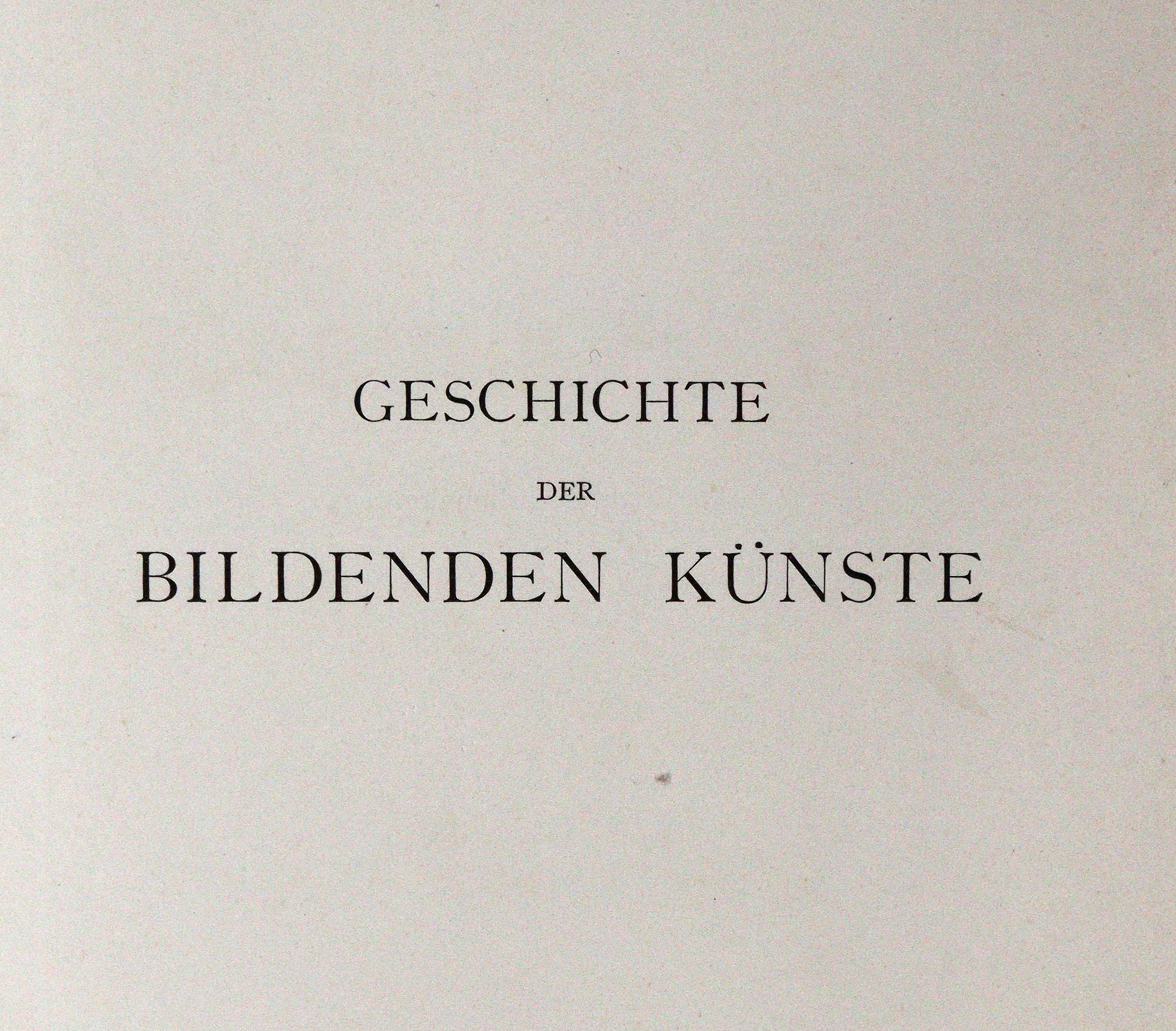 Hellbrauner Ganzleder | Bild Nr.7