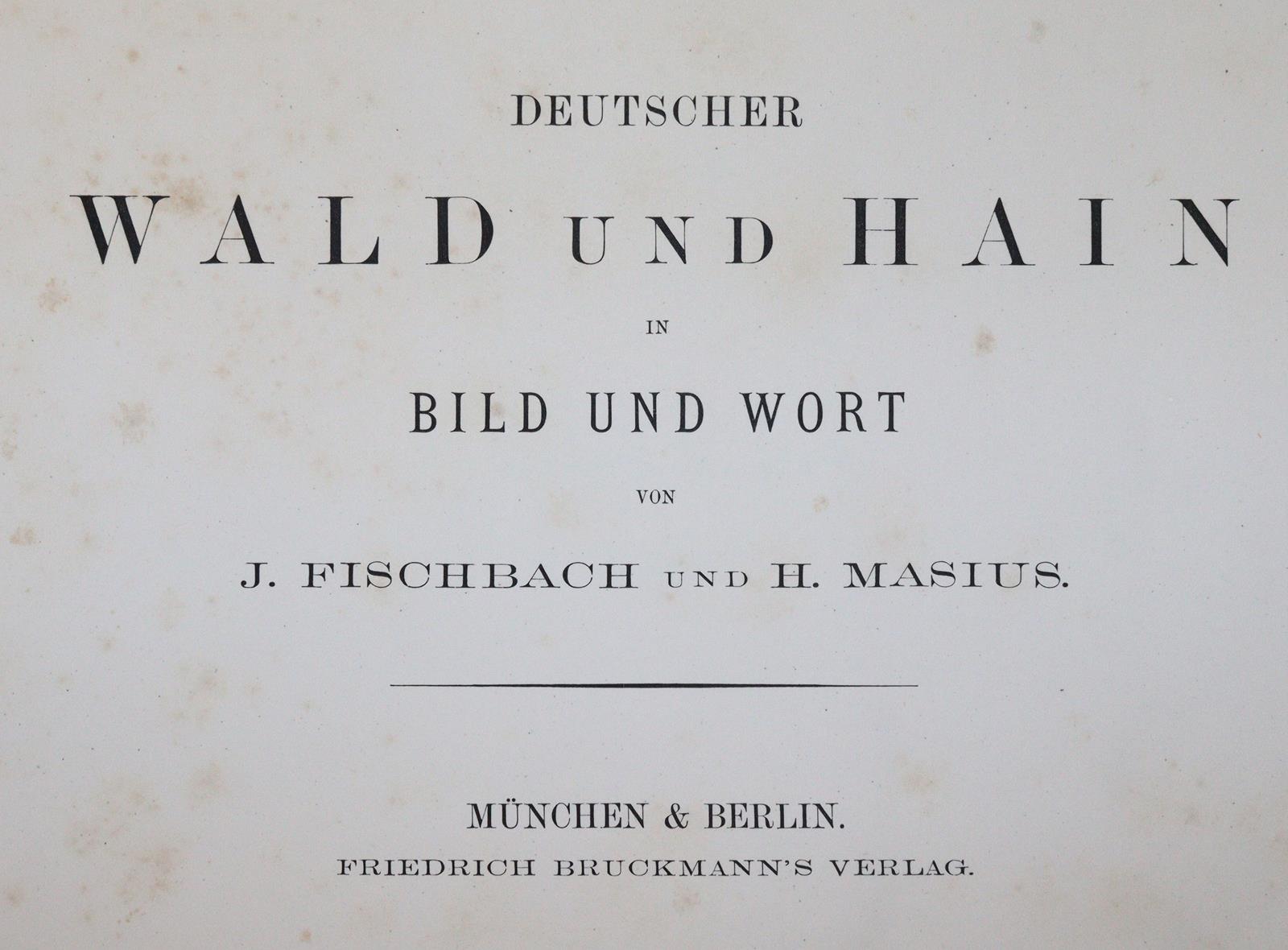 Fischbach,J. u. H.Masius. | Bild Nr.3